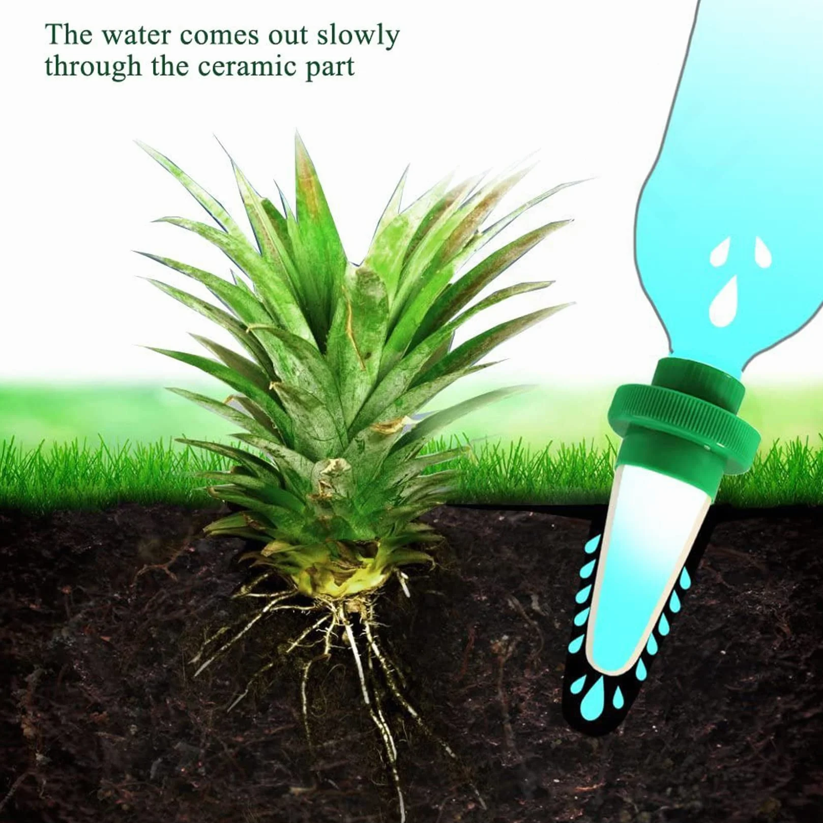 Arrosage Goutte à Goutte en Céramique 4 Pièces Système d'Irrigation Automatique pour Plantes Jardin