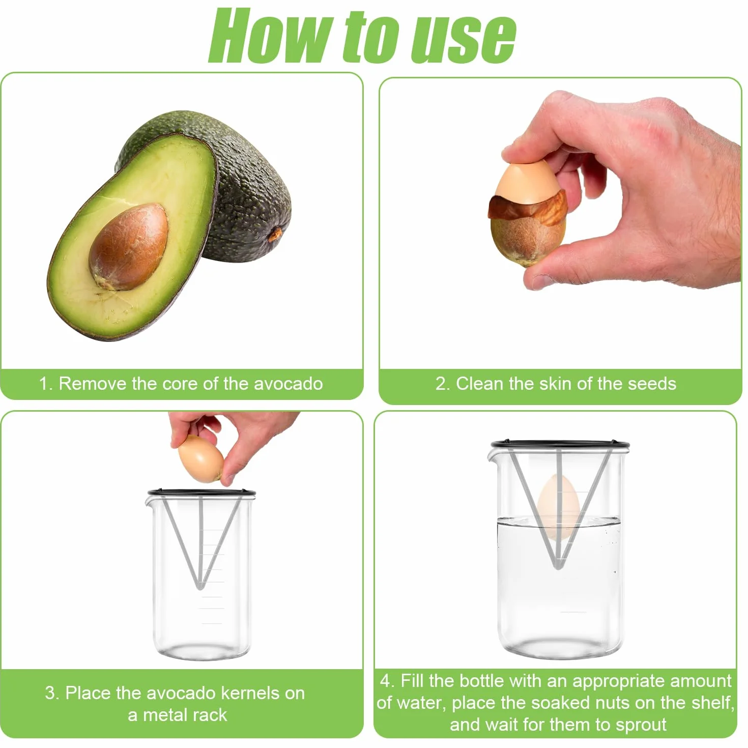 Gosknor 4pcs Démarreurs de Graines d'Avocat, Kits de Culture d'Avocatiers Triangulaires en Métal Support de Germination