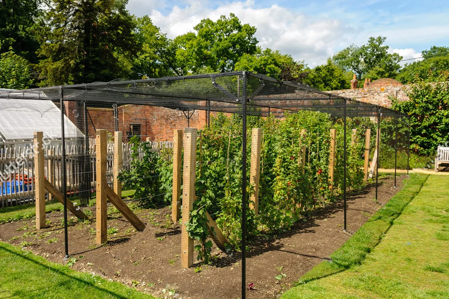 Filet Anti Oiseaux Noir 4m x 10m Protection Arbres Fruitiers Jardin