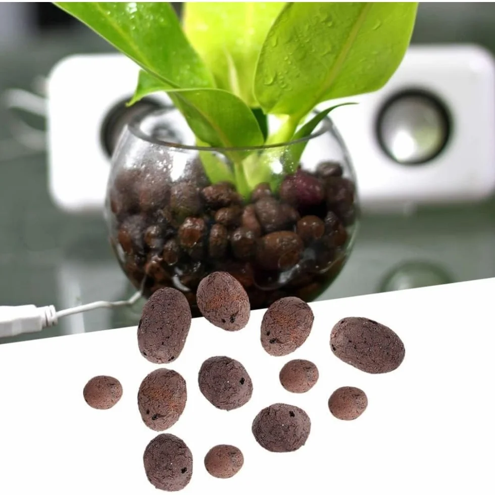 Galets d'argile 100 g pour culture hydroponique, terrarium, plantes en pot