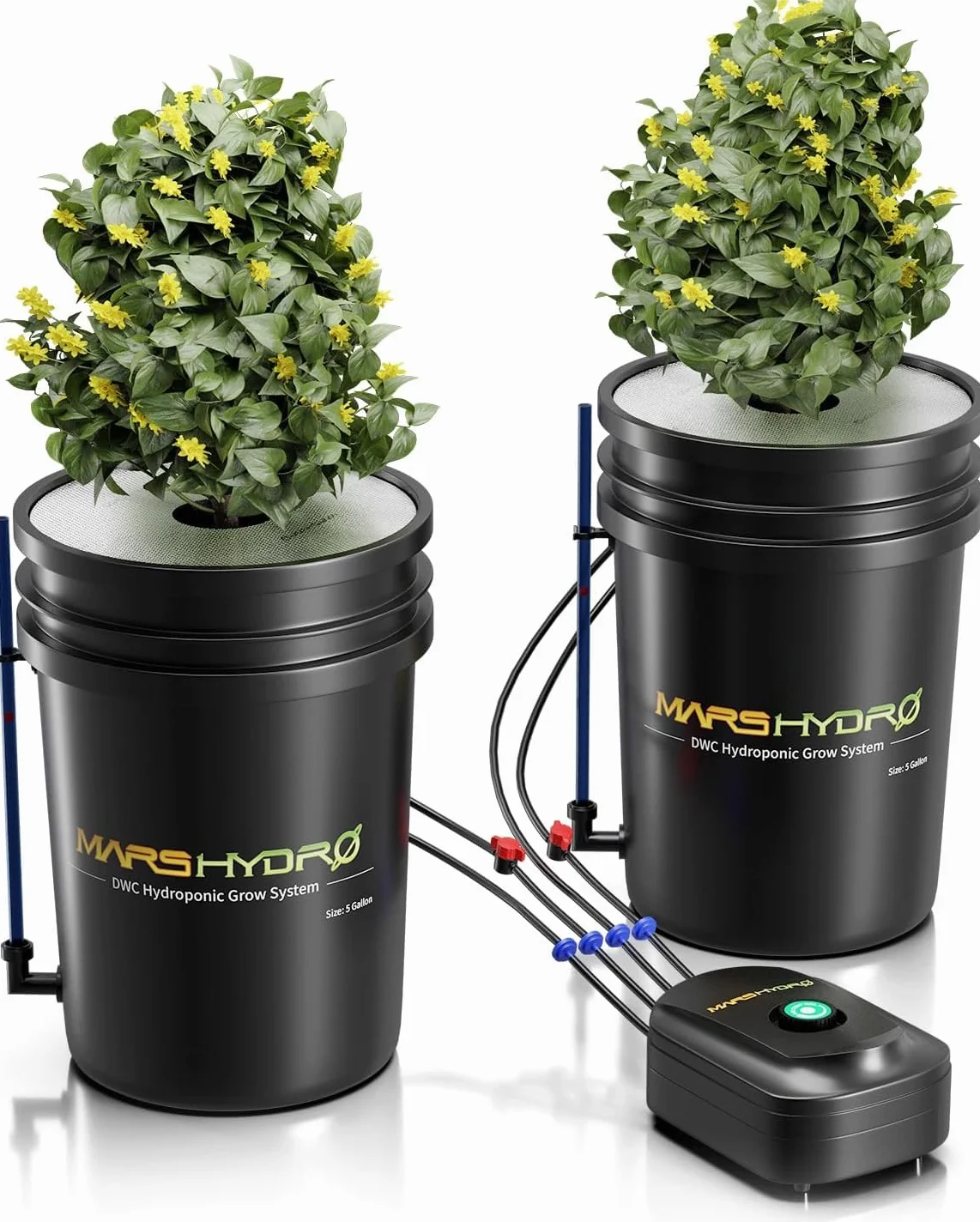 Mars Hydro Système de Culture Hydroponique DWC 5 Gallons Pompe à Air 8W Kit 2 Seaux