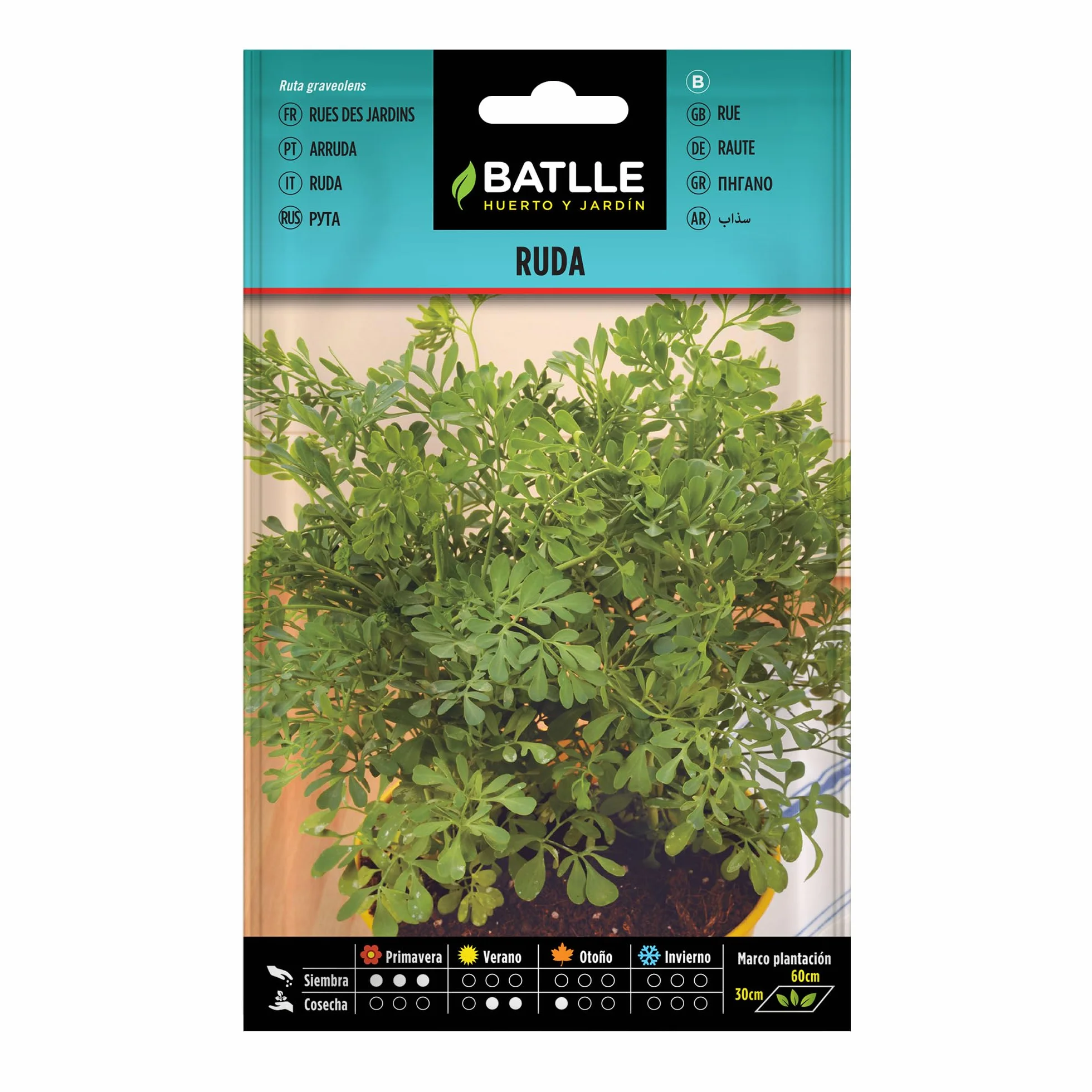 Batlle Graines aromatiques Rue des Jardins 1g