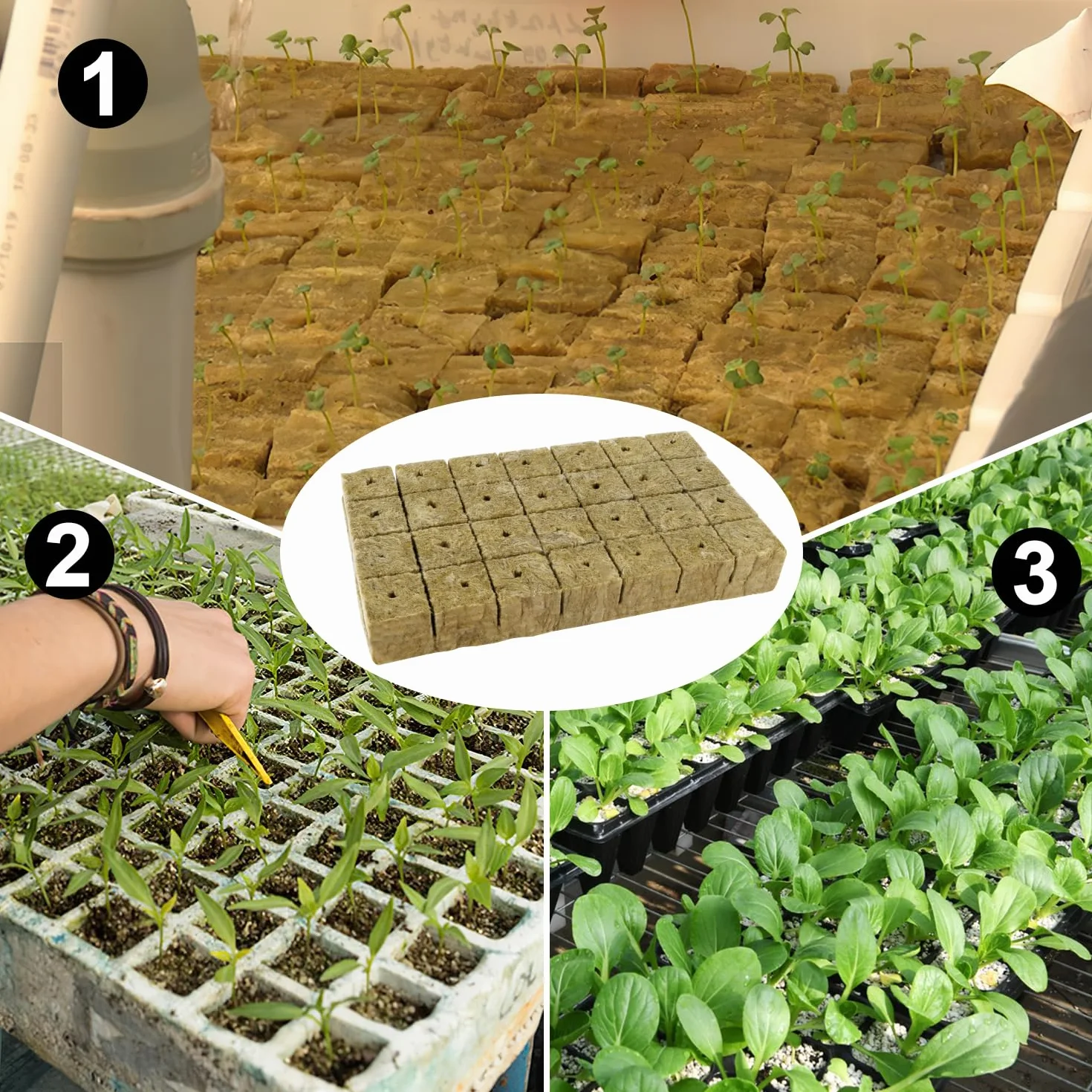 Blocs de Culture en Laine de Roche Hydroponique 56pcs Cubes pour Bouturage