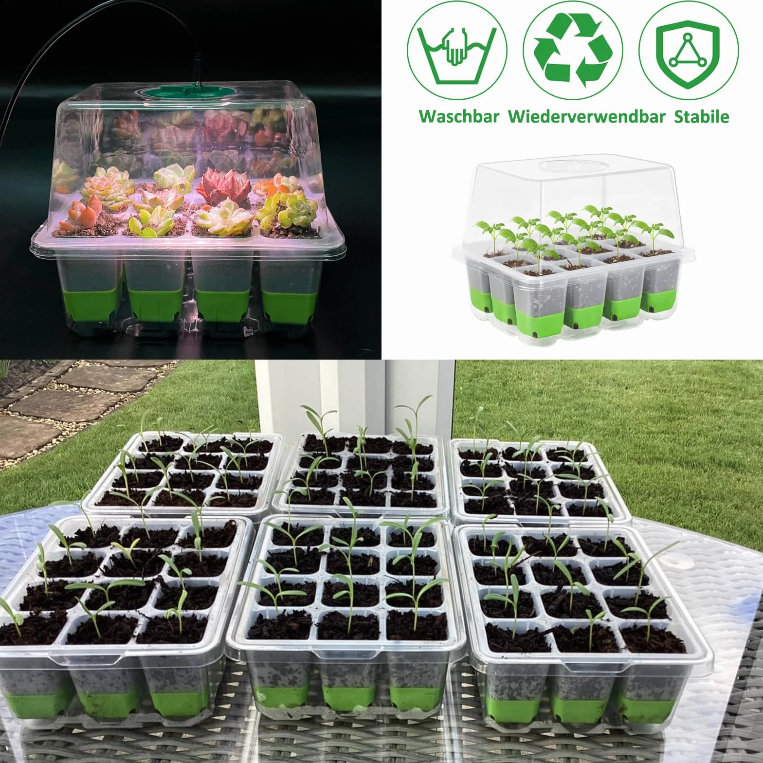 Mini serre avec lumière complète pour plantes, kit de culture d'intérieur