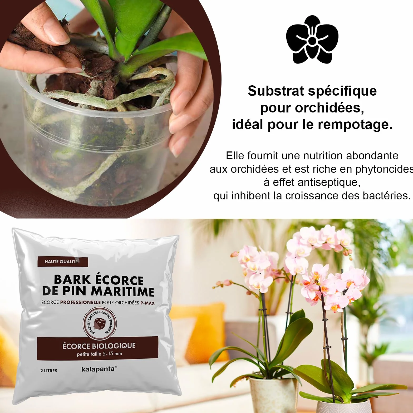 Substrat écorce de pin Maritime pour orchidées 5-15 mm Agriculture Biologique