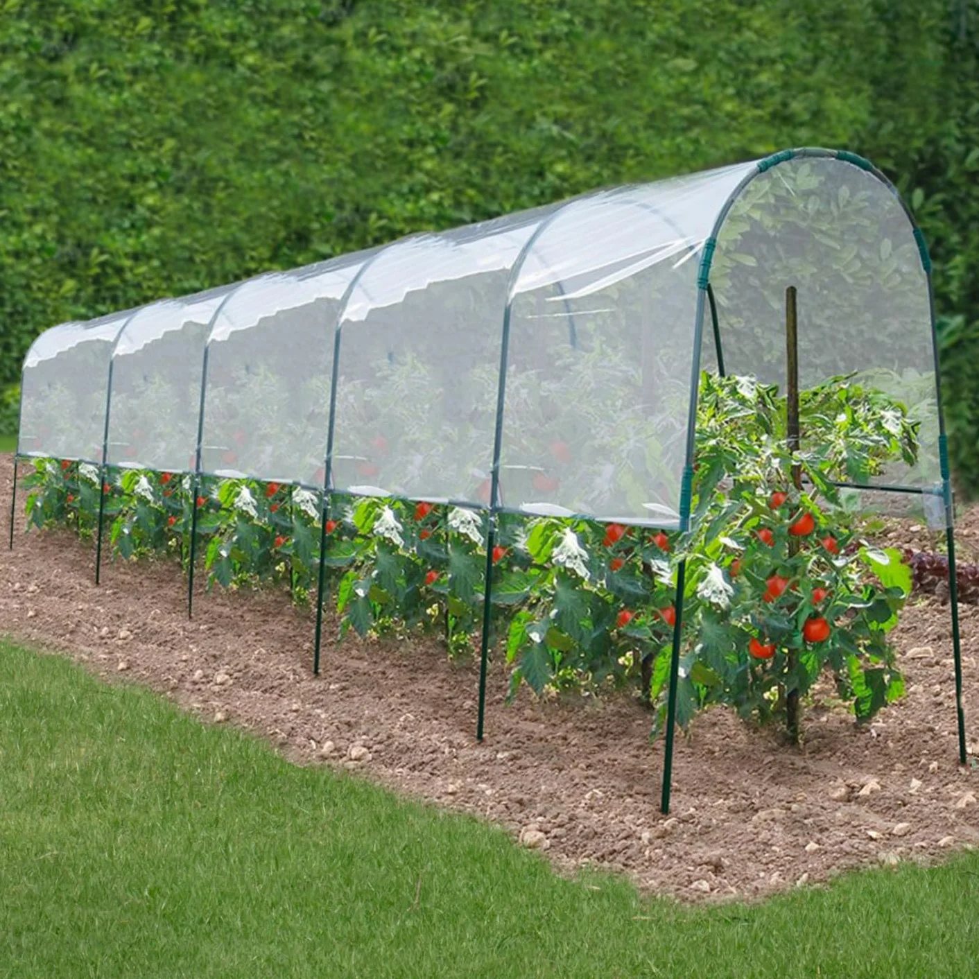 Serre à tomates 2 M Probache