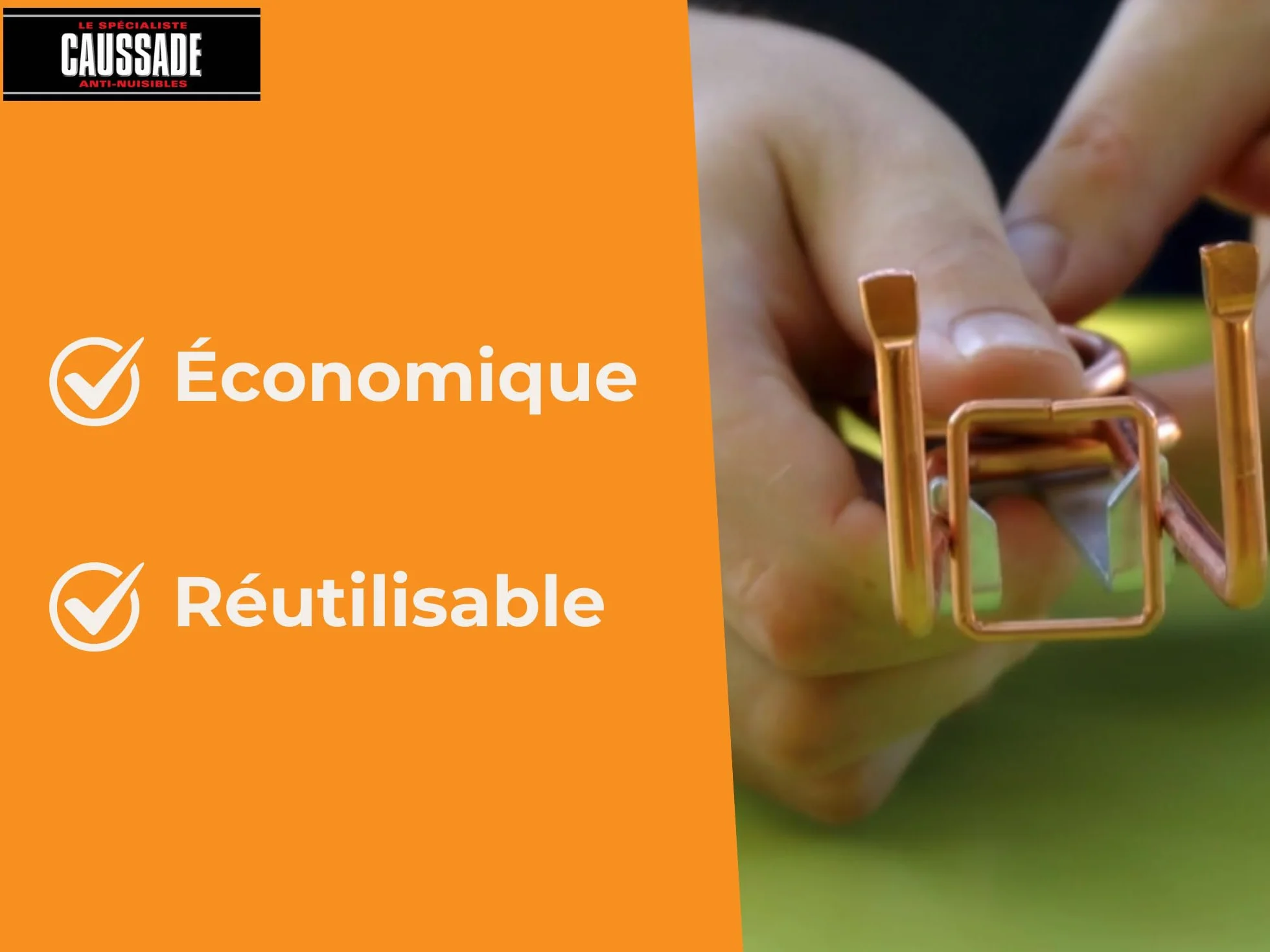 CAUSSADE Pièges À Taupes 2 Pièges + Tendeurs + Clé D'Armement Réutilisable