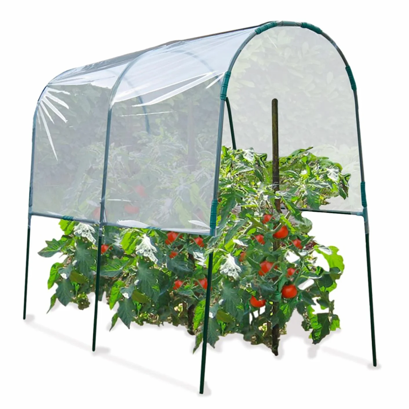 Serre à tomates 2 M Probache