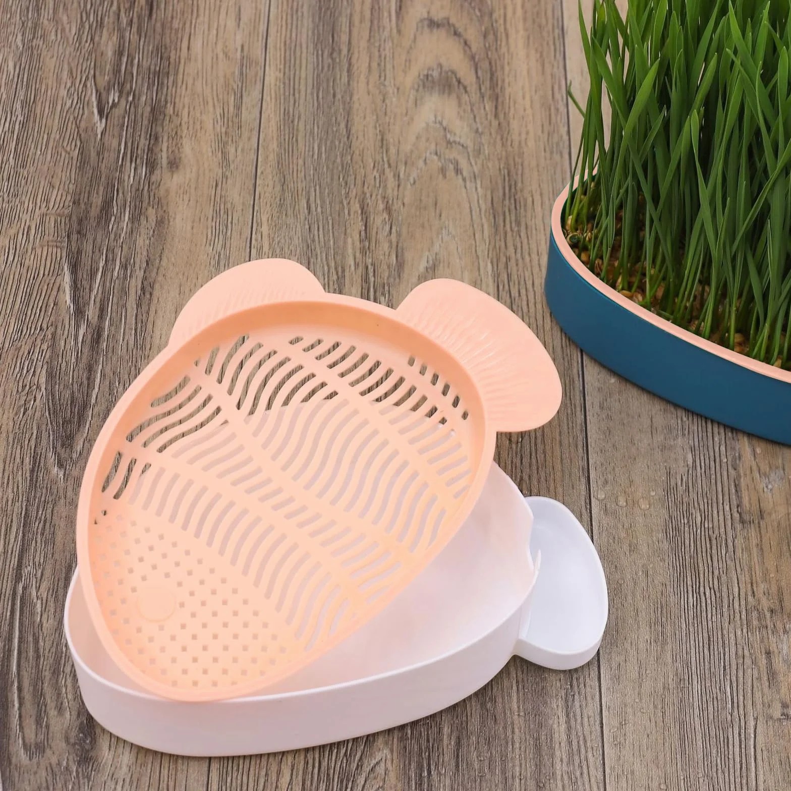 Plateau de Croissance en Forme de Poisson pour Chat HOMURY - 2 Pièces Plastique, Boîte Hydroponique avec 10 Sacs de Graines