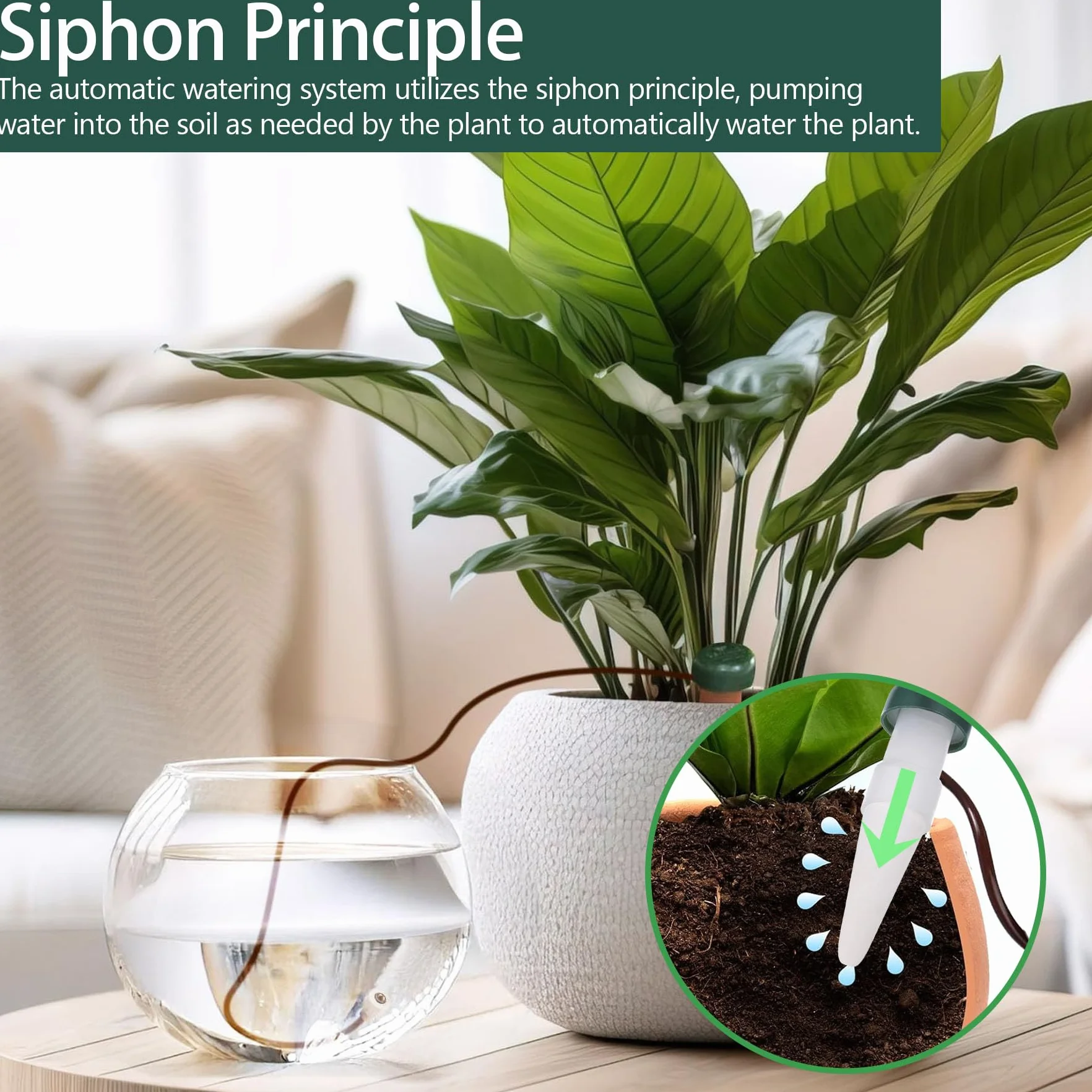 YeahBoom Appareil d'Auto-Arrosage 6 Pièces Arrosage Automatique Jardin Distributeur Eau Plante Intérieur