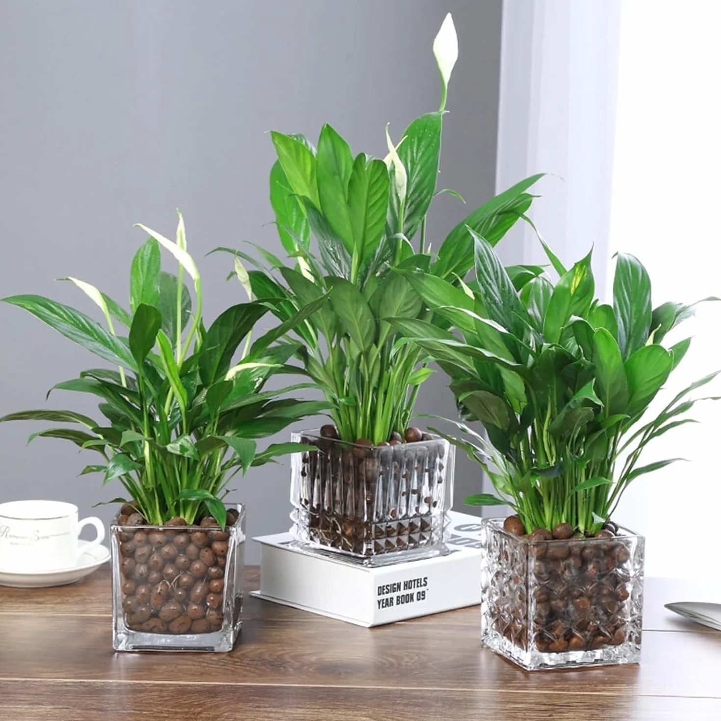 BIOVITA Argile expansée Granulés drainage 8-16 mm plantes intérieur 5 l