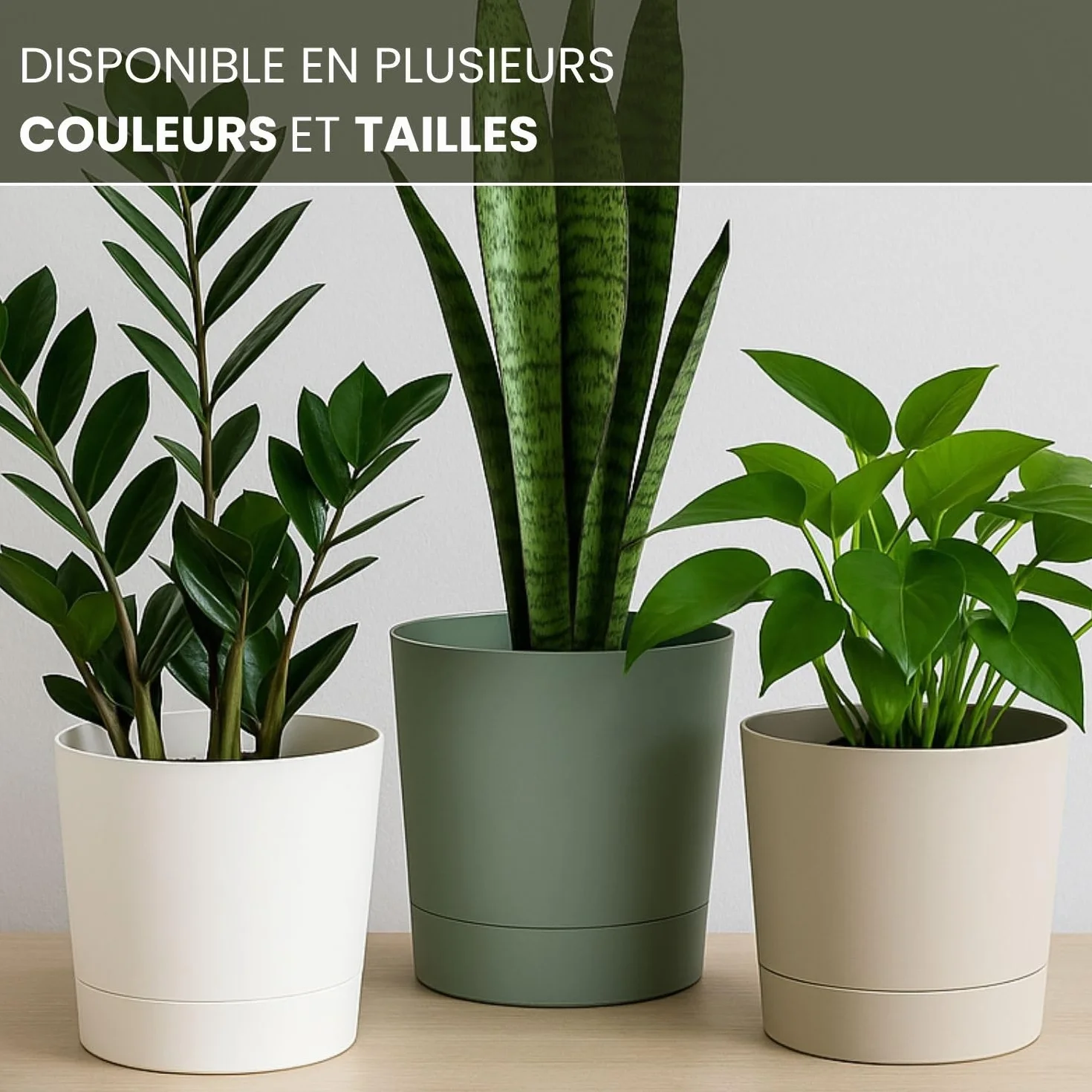 LAMELA Bac À Plantes avec Soucoupe Intégrée 17,5 cm 2,5L Pot De Fleur Vert Résistant Aux Intempéries