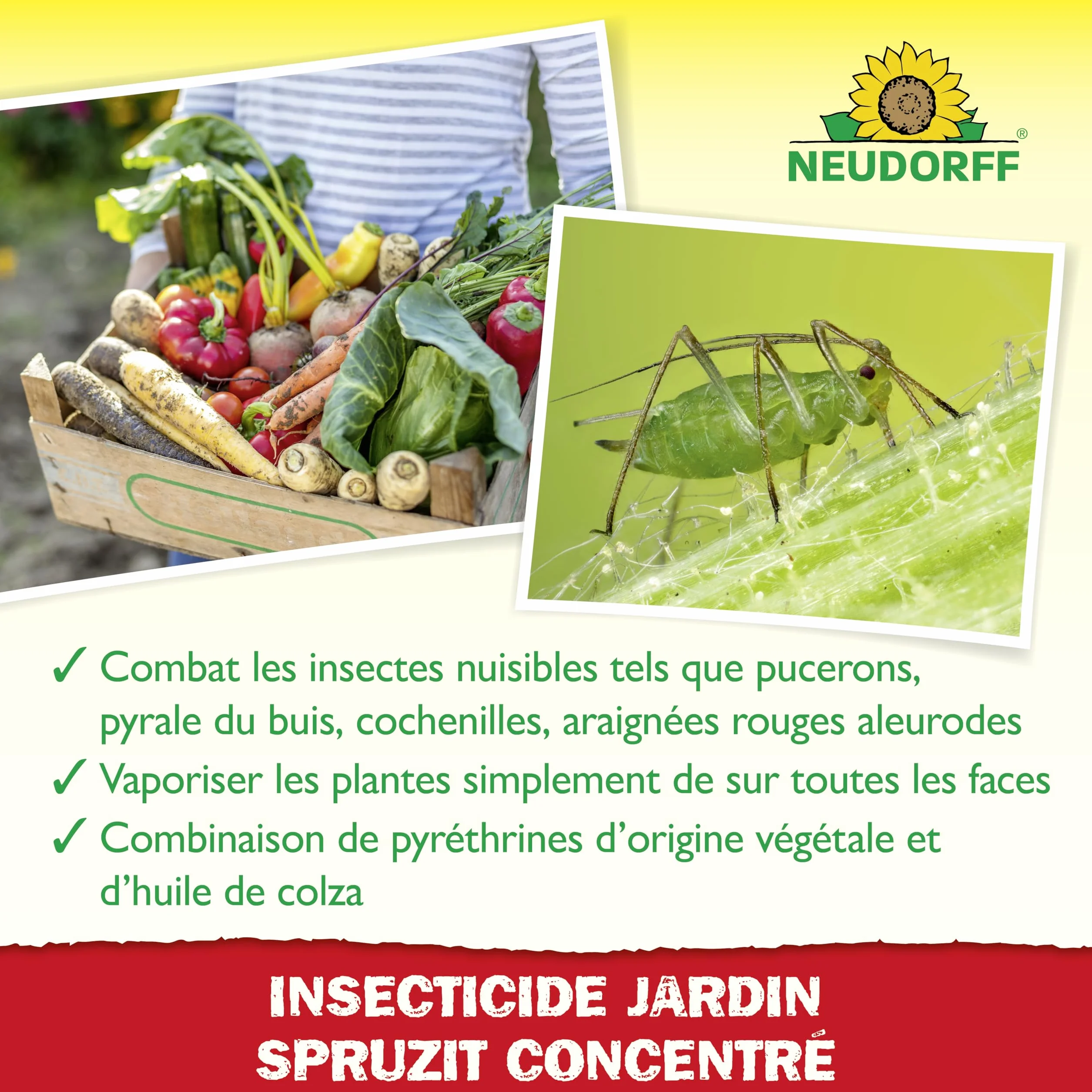 Neudorff Spruzit Insecticide Jardin Concentré 250 ml - Combat pucerons, cochenilles, ravageurs