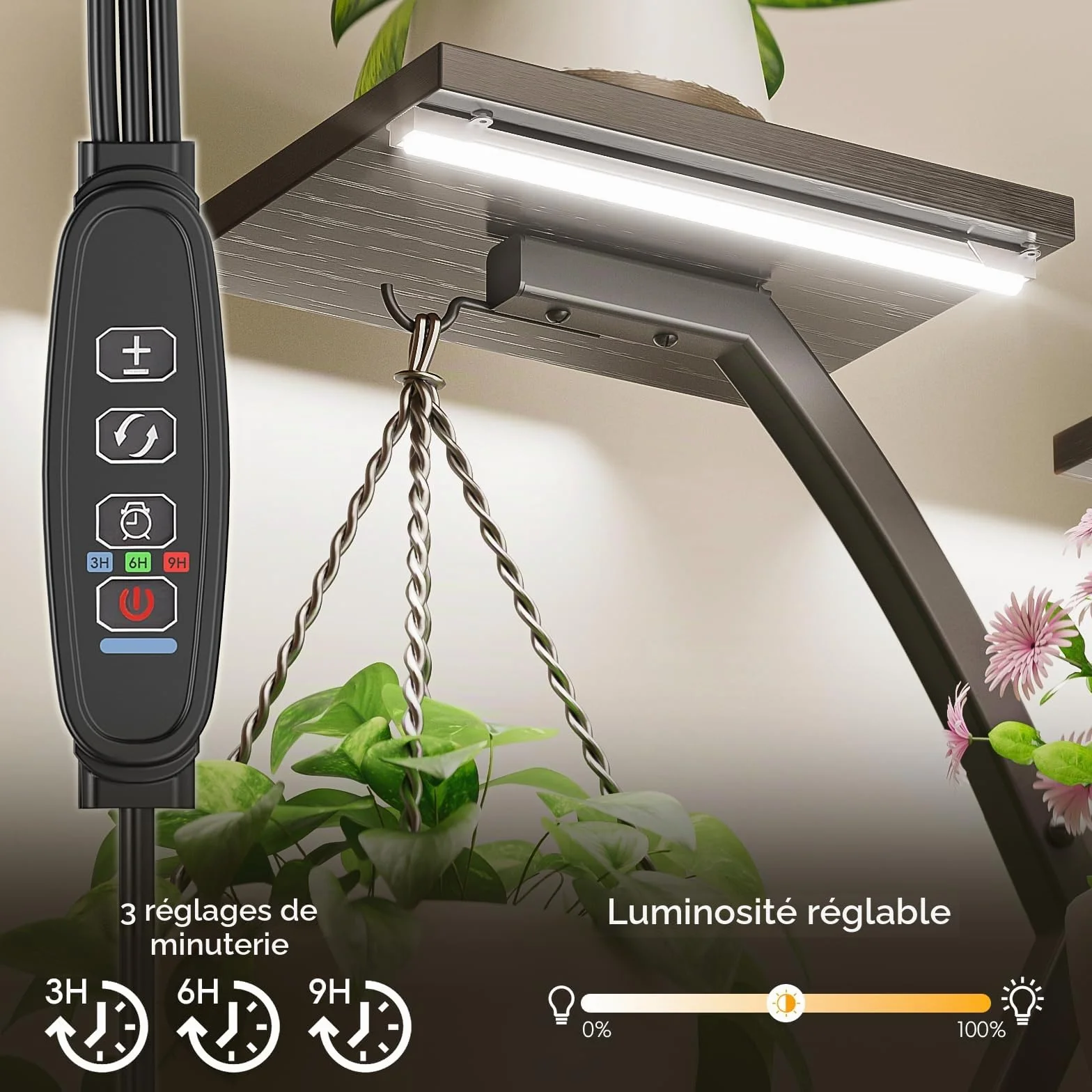 Mutool Support pour plantes d'intérieur avec lampes de culture, étagère 163 cm, support d'angle peu encombrant