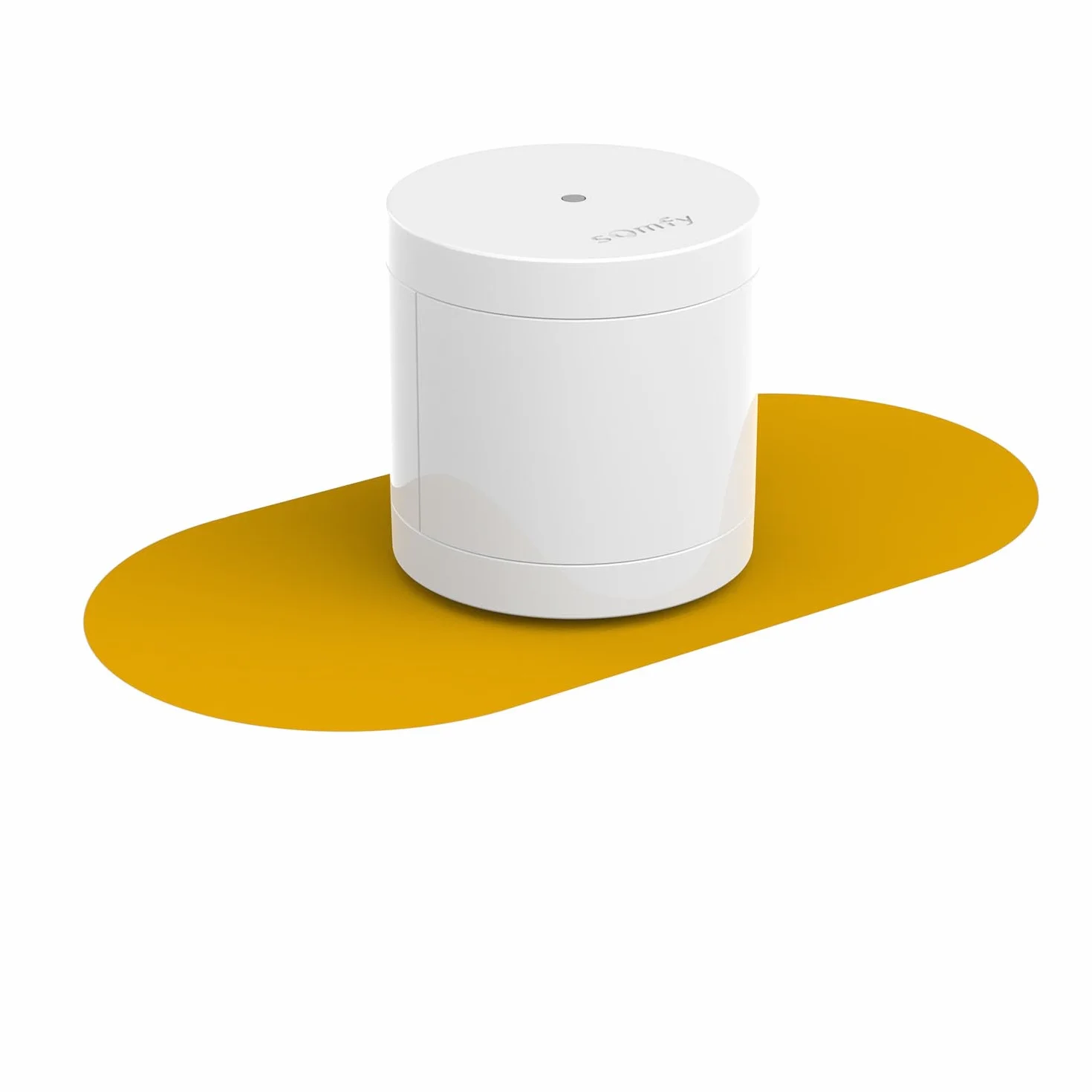 Somfy 2401490 - Détecteur de Mouvement Intérieur - Compatible Animaux - Compatible Home Alarm (Advanced, Essential), One (+)