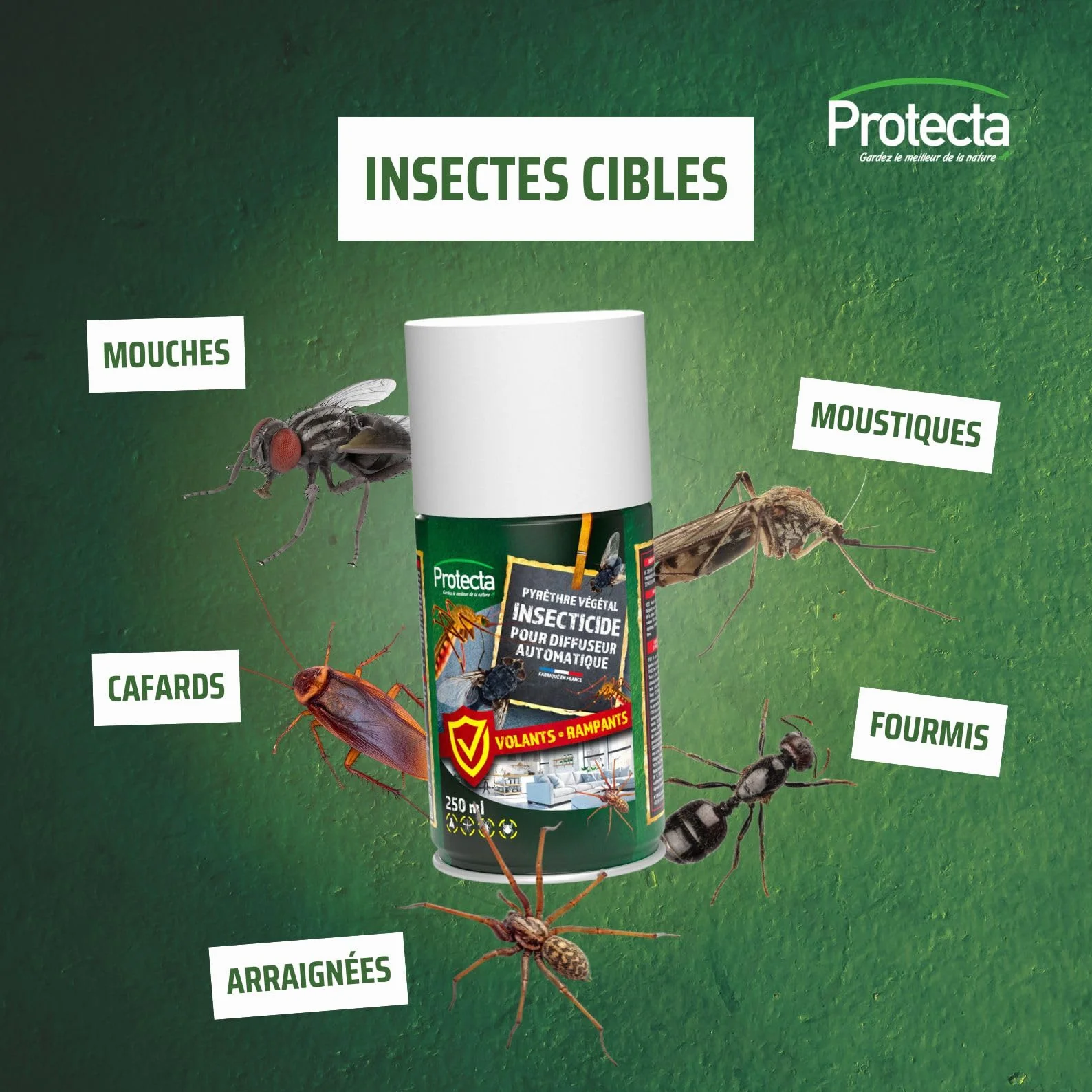 Protecta Kit Diffuseur Insecticide Automatique Programmable Aérosol Pyrèthre 250 ml Anti-Mouches Moustiques Insectes Volants Protection 24h/24