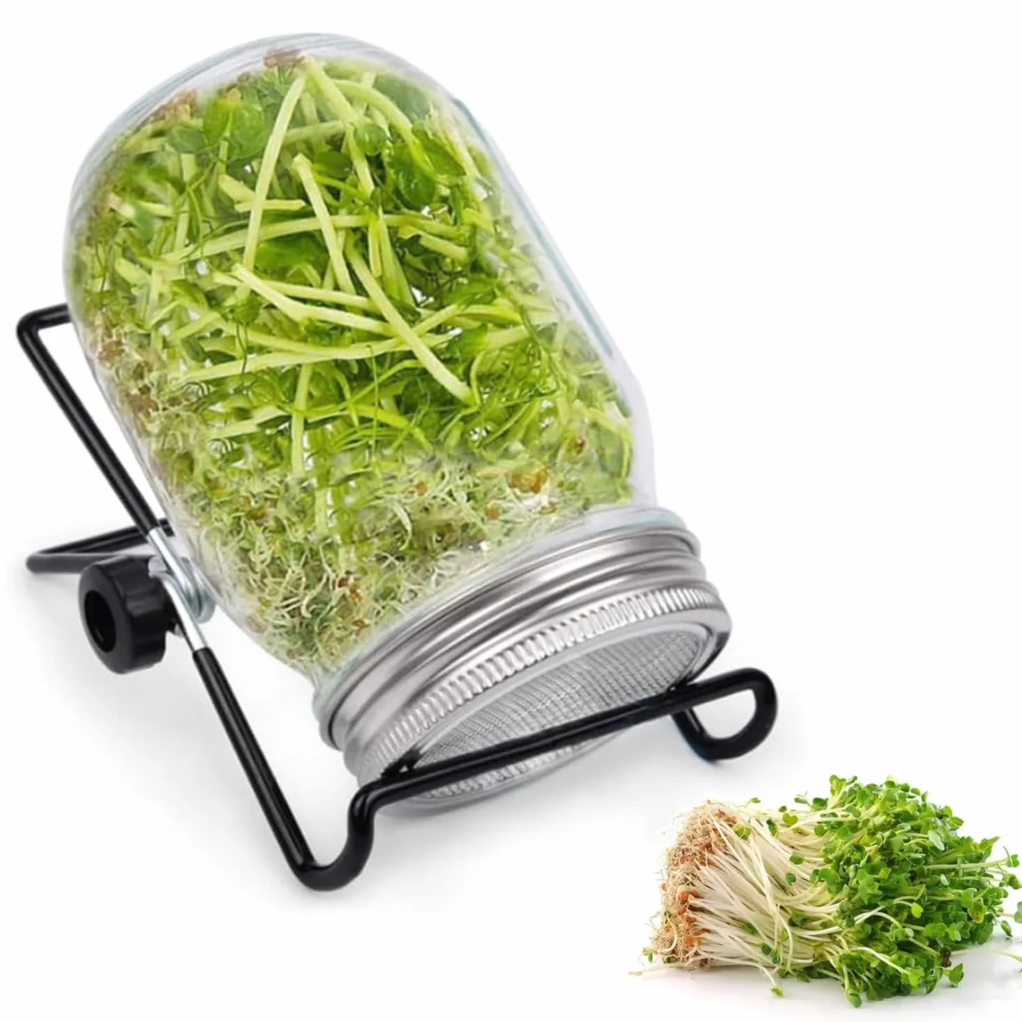 Bocaux à germer 1000 ml en verre avec couvercle inoxydable 304 et support pour germination alfalfa brocoli haricots mungo
