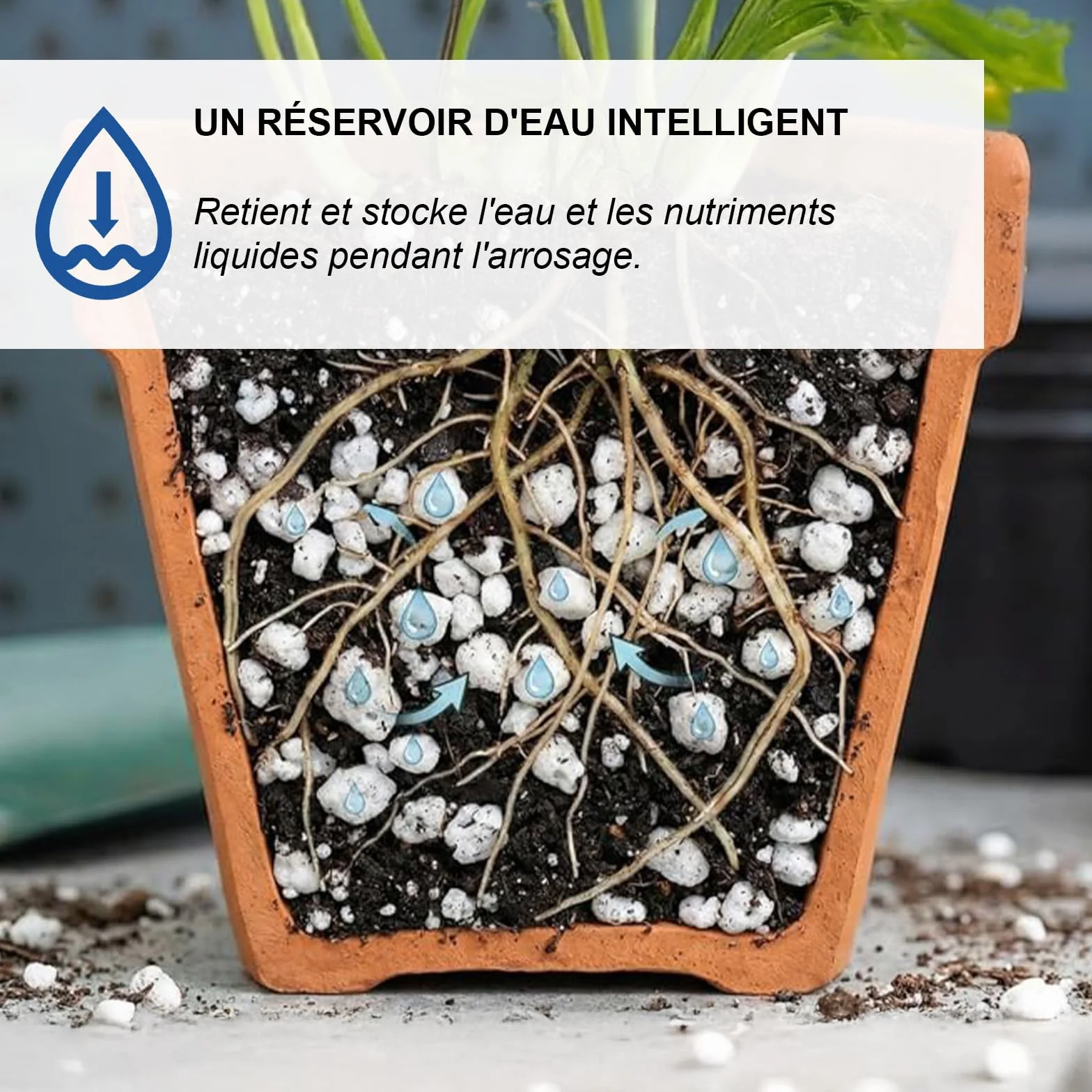Perlite volcanique naturelle expansée pour jardinage 2 L drainage plantes intérieur