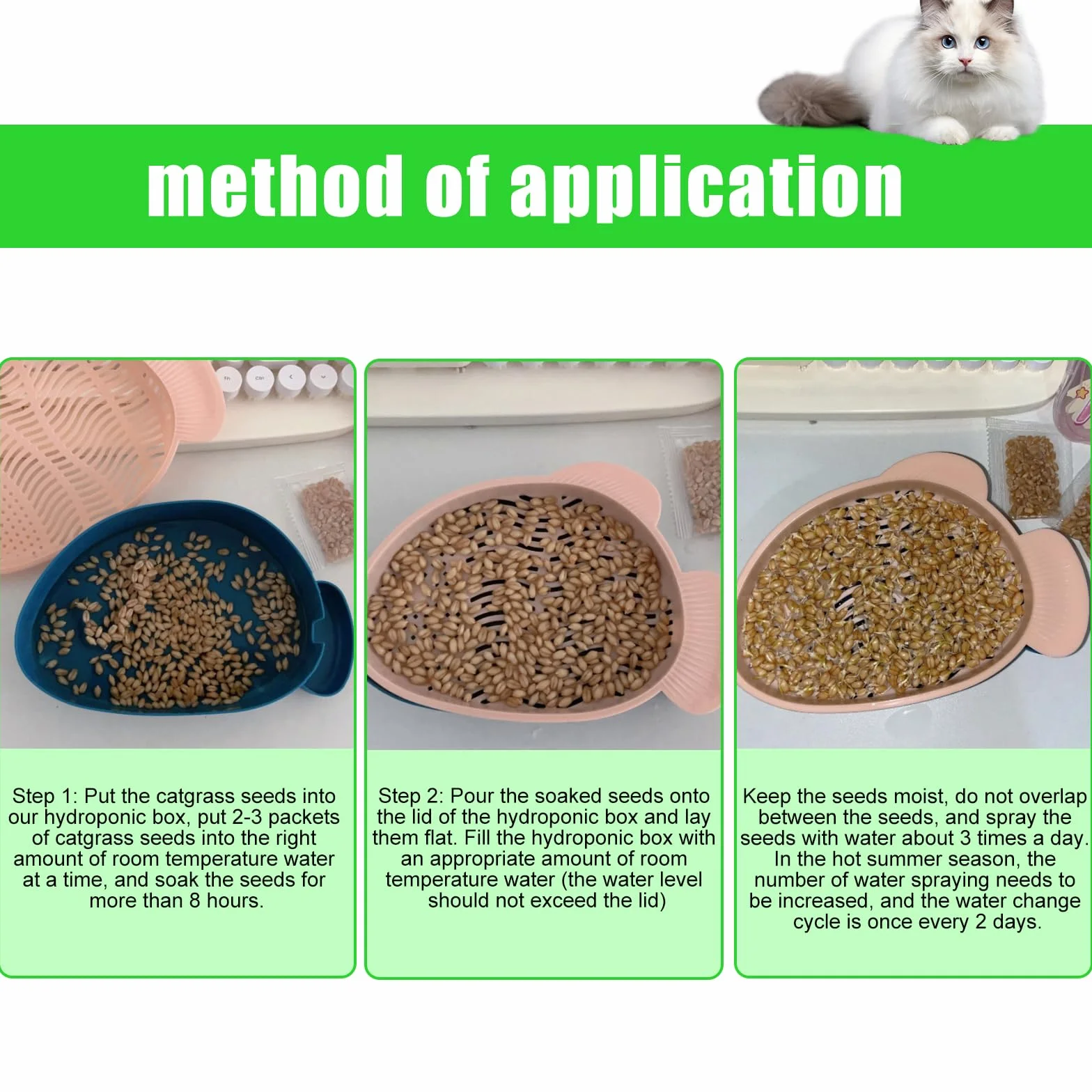 Plateau de Croissance en Forme de Poisson pour Chat HOMURY - 2 Pièces Plastique, Boîte Hydroponique avec 10 Sacs de Graines