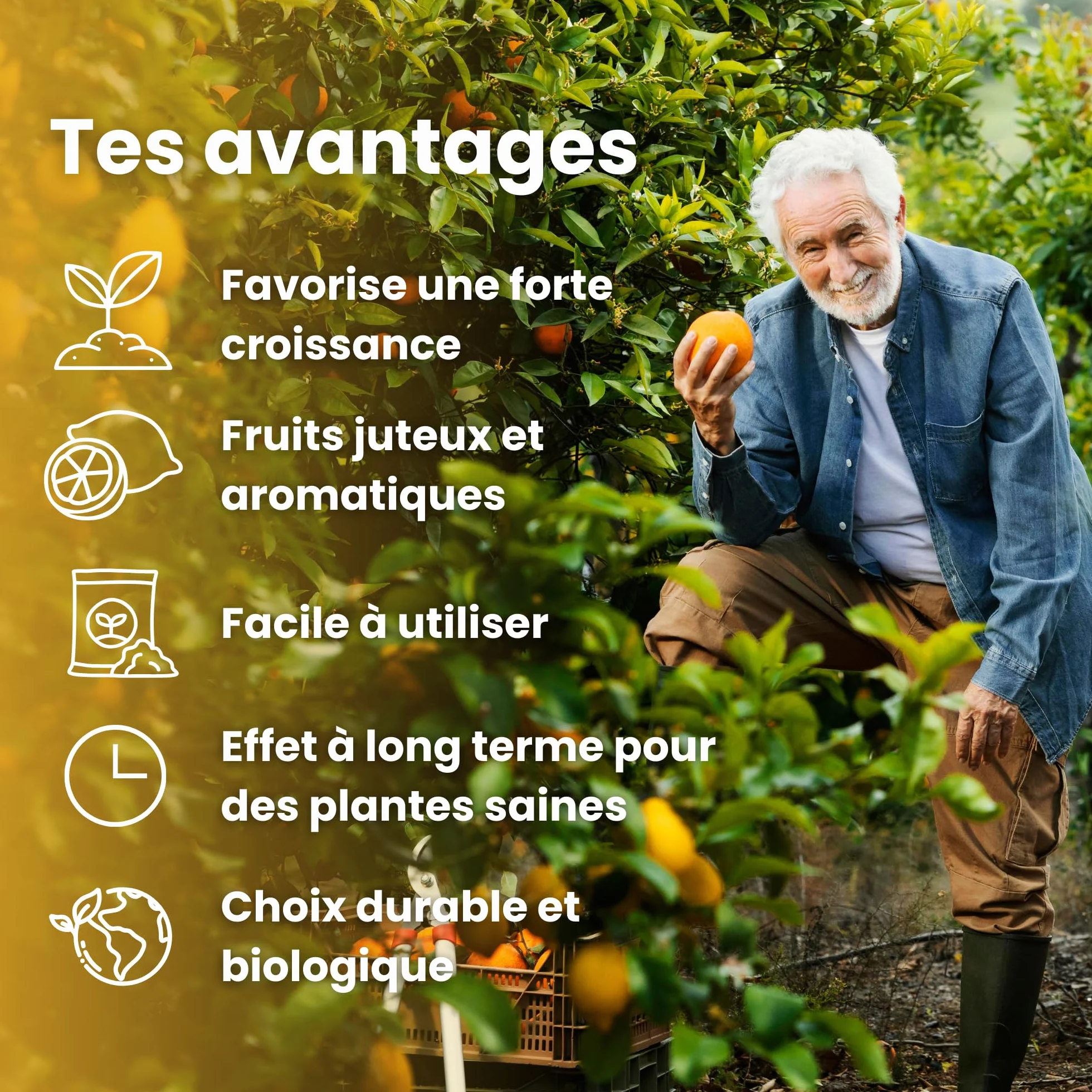 LERAVA Engrais Bio Agrumes 800g - Nutrition Naturelle Citronnier Pot - Croissance Vigoureuse Saveur Intense - Bouchon Distributeur - 100% Made in Italy