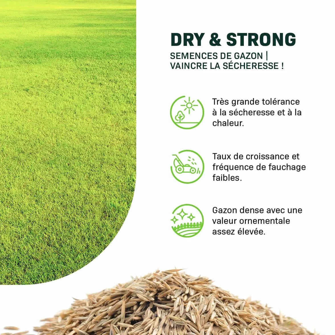 MRS Dry & Strong Semences de gazon terrains secs 2 kg 100 m² Résiste chaleur sécheresse