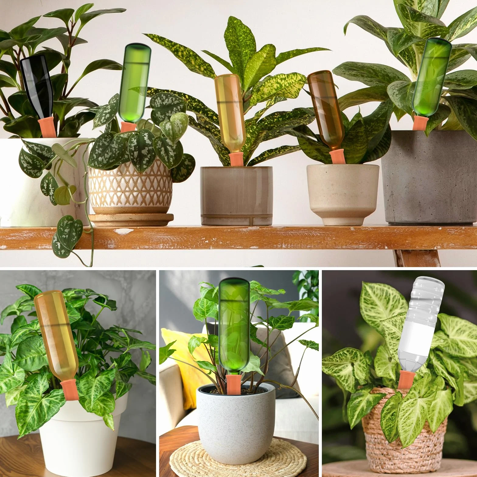 Frasheng Cône d’arrosage Argile, Système d'irrigation automatique, Kit goutte à goutte pour plantes en pot