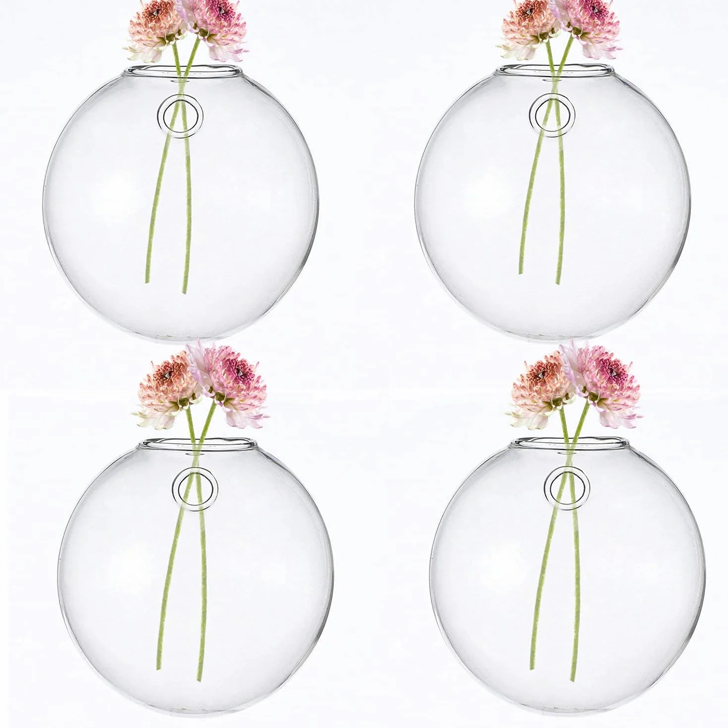 Lot de 4 Pots de Fleurs Muraux en Verre Transparent pour Plantes Aériennes, Tillandsia - Décoration Murale