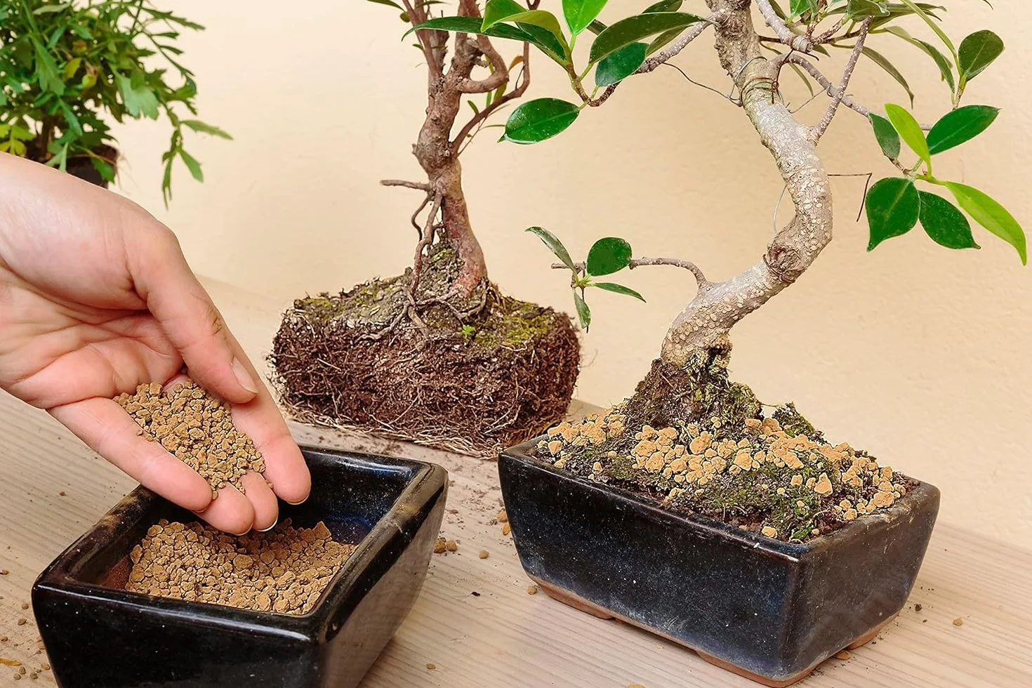 Akadama Japonais pour Bonsaï 2-5 mm 3L