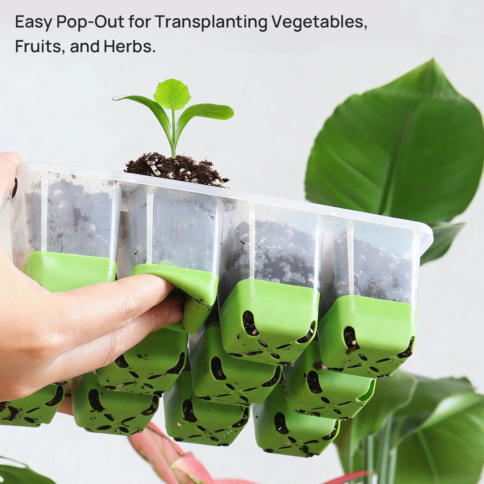 Kit de plateau de démarrage en silicone réutilisable 18,5 x 14,5 cm pour tomates légumes orchidées