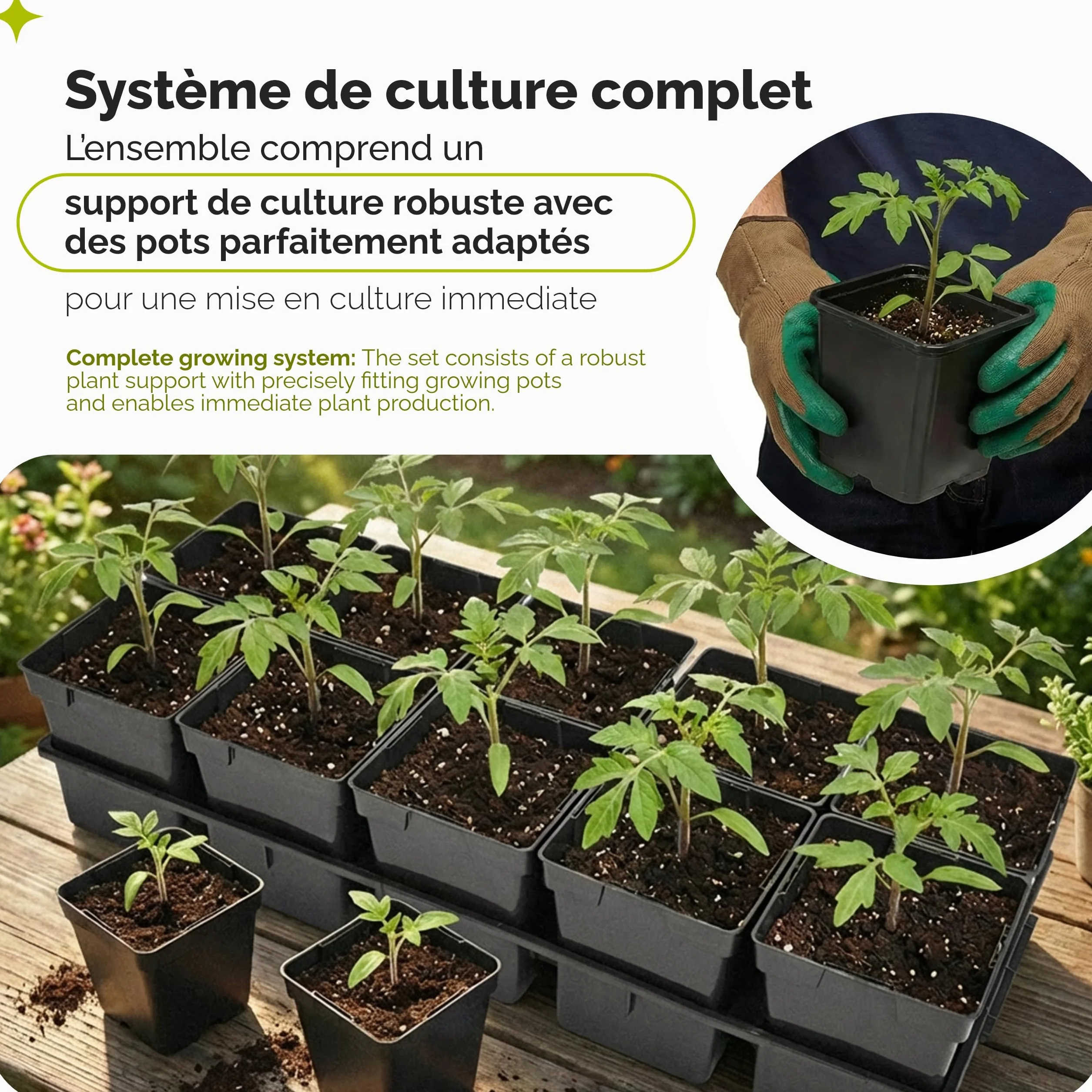 Garronda Kit de Semis Plateau 10 Trous avec Godets Plastique PP Réutilisable GD-0208 Noir