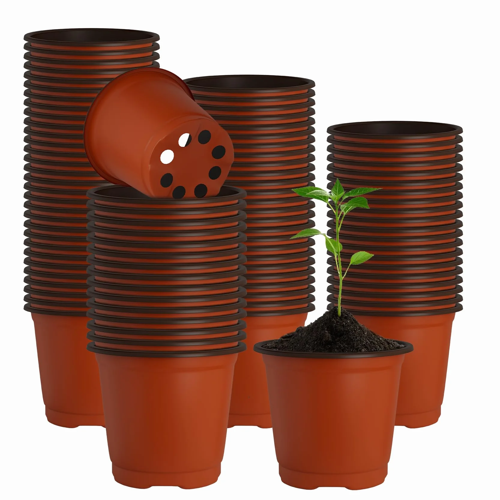 Pots pour semis 8 cm plastique lot de 100 pour plantes fleurs légumes fruits
