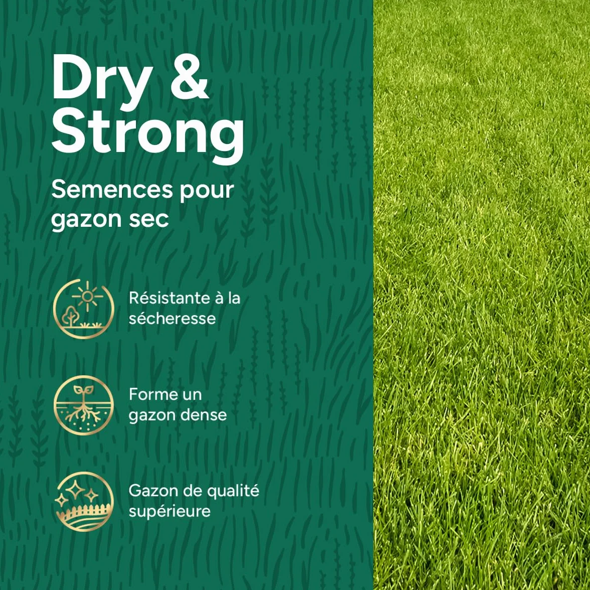 Gazon résistant à la sécheresse MRS Dry & Strong 10 kg 500 m² Hydroboost™