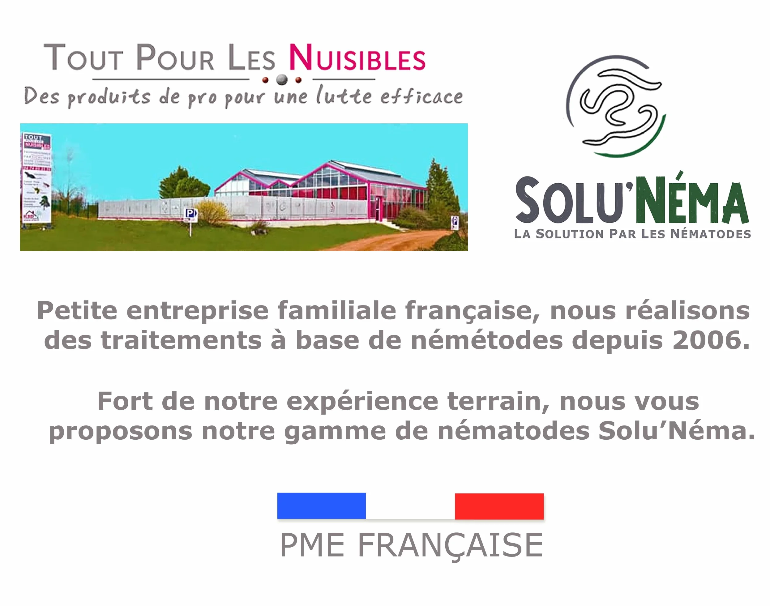 SOLUNEMA Nématodes SF contre mouches du terreau 5 millions - Traitement biologique plantes d’intérieur jusqu’à 25 pots