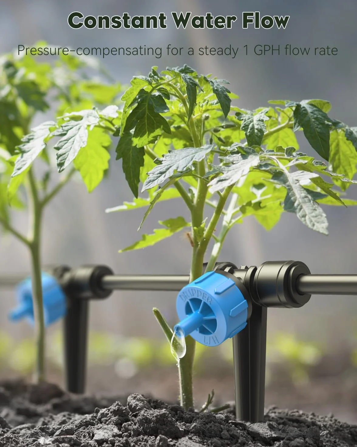 Kit d'irrigation goutte-à-goutte Pawfly 30M avec tuyau 4-6 mm et goutteur pour jardin