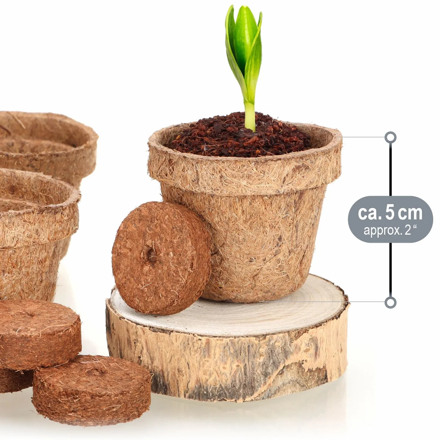Kit de Culture de Noix de Coco 20 pièces - Disques de Noix de Coco Biodégradables avec Pot et Languettes Gonflantes
