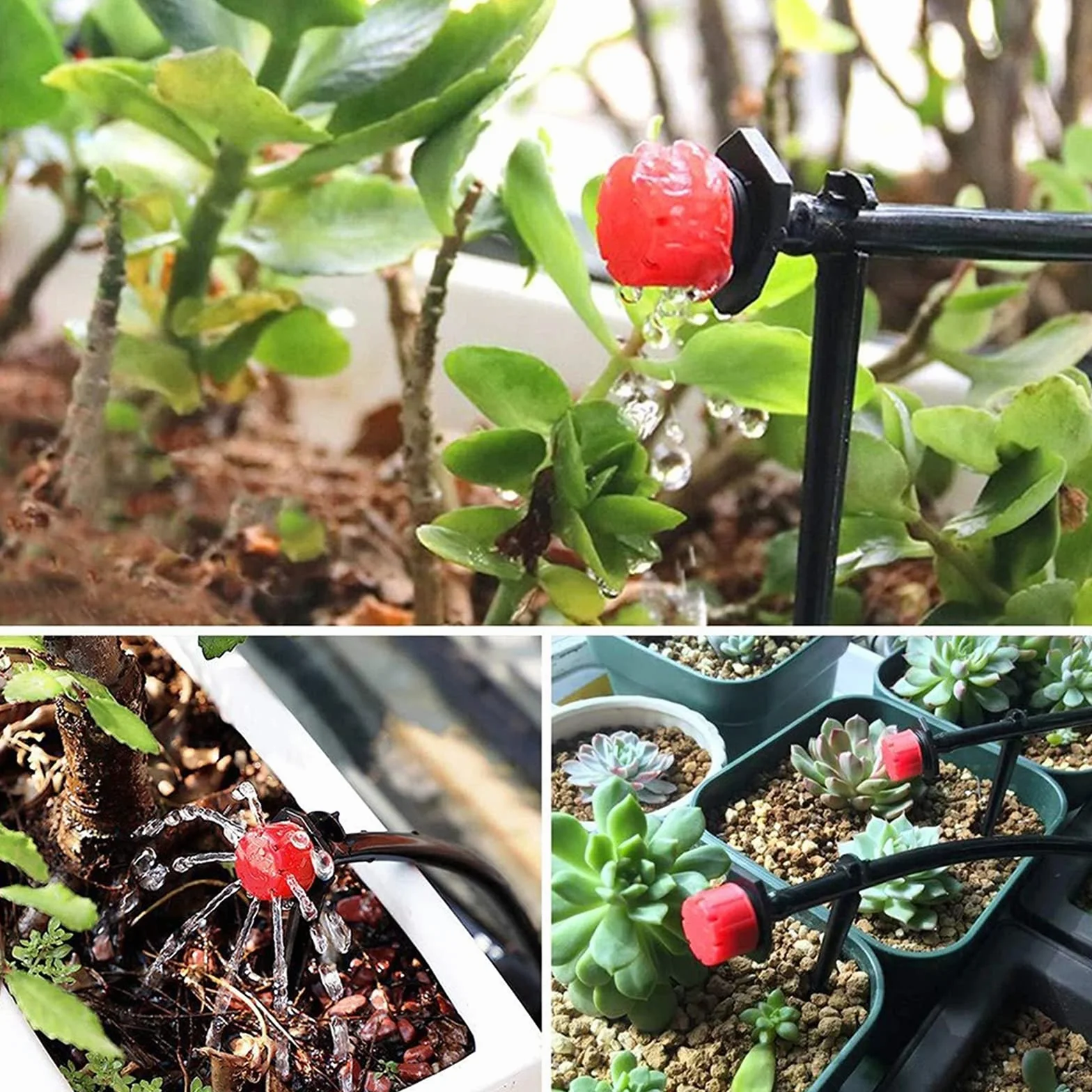 Goutteurs d'Irrigation Réglables 100 Pcs Micro Goutteur en Plastique Huit Trous pour Jardinage