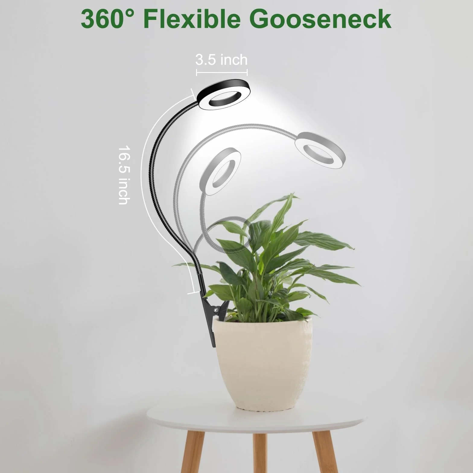 LED Pflanzenlampe Vollspektrum 6500K Grow Light mit 360° Schwanenhals, 3 Farbtemperatur, 5 Helligkeit, Timer