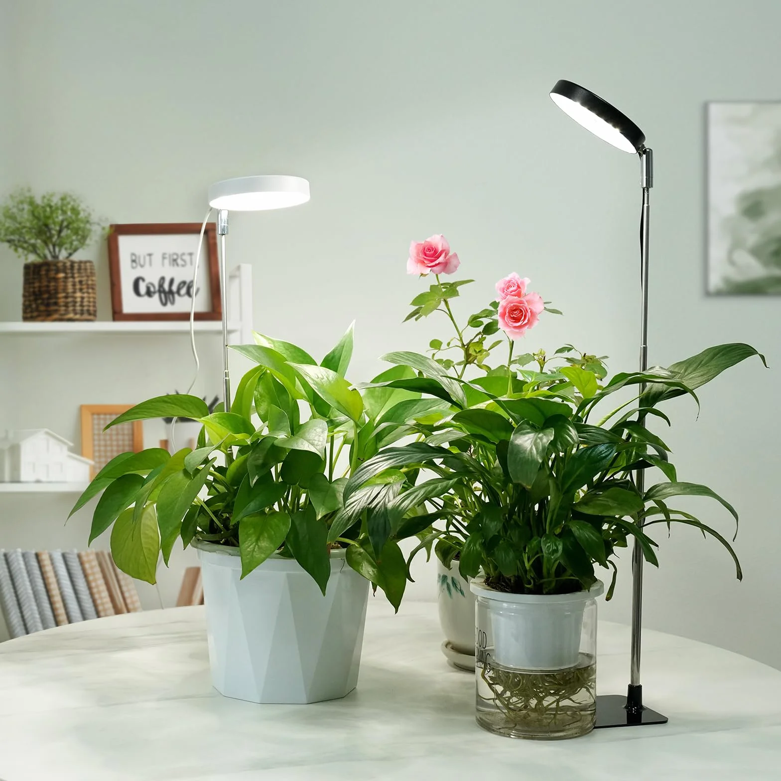 Lampe pour plantes 48 LED 6000K avec minuterie 3/9/12H, 10 niveaux de luminosité, 3 modes d'éclairage Noir 2PCS