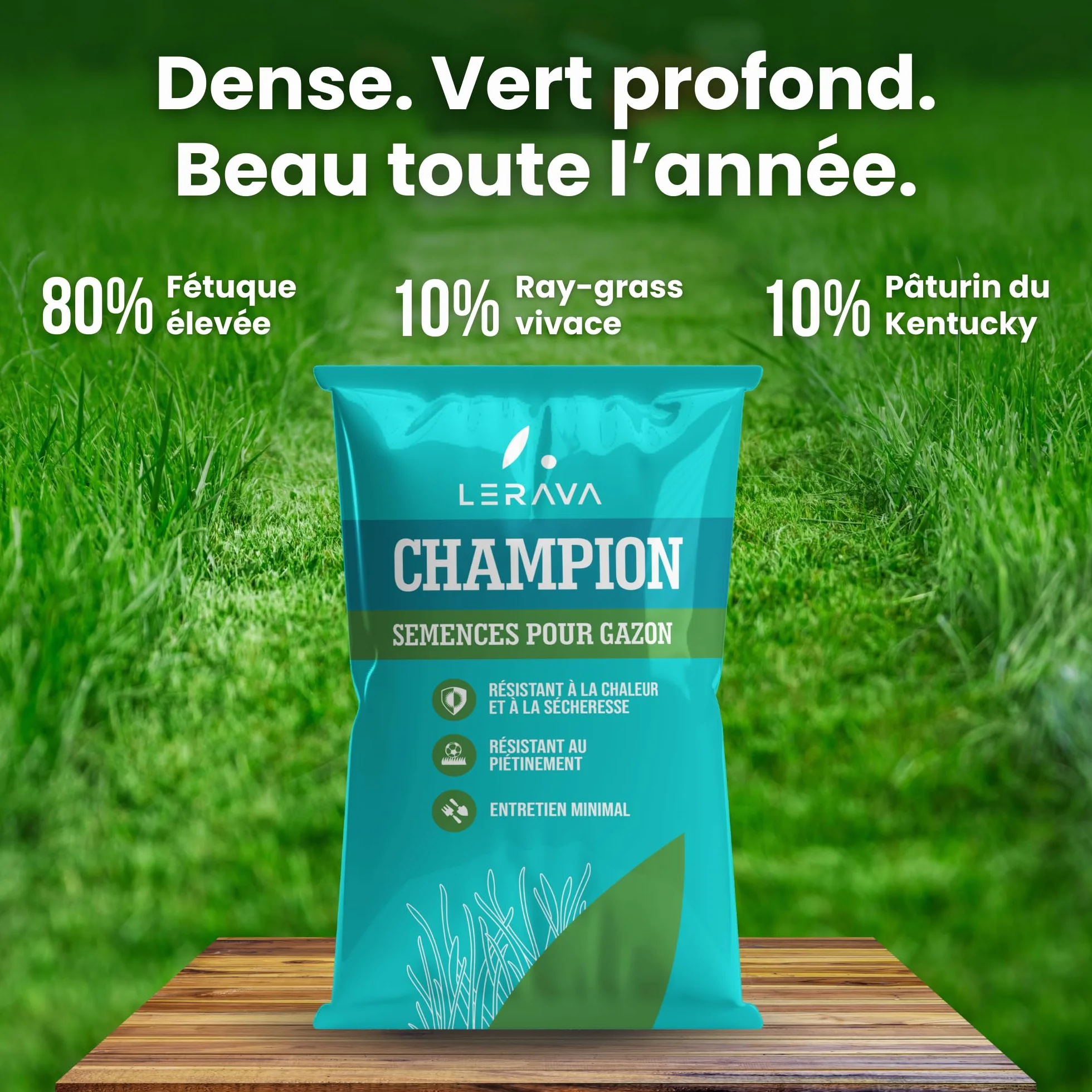 LERAVA CHAMPION Gazon à Semer 30 m² - Graines Pelouse Résistantes Sécheresse - Croissance Rapide Densité Maximale