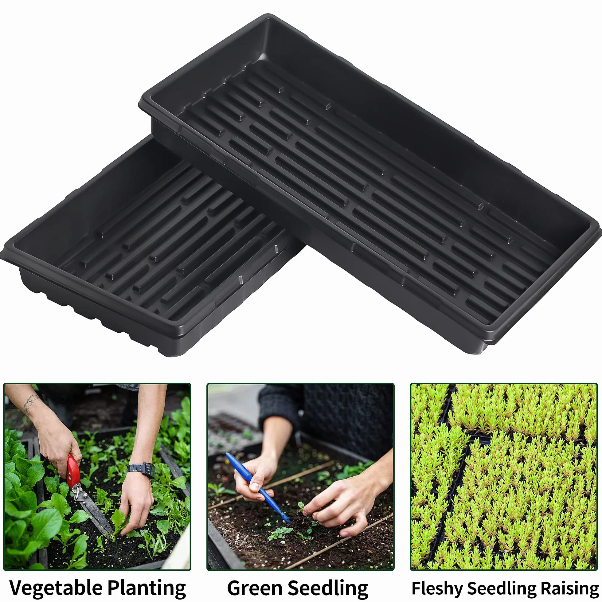 Lot de 10 Plateaux de Culture sans Trous de Drainage 50,8 x 25,4 cm Récipient pour Semis Herbe à Chat