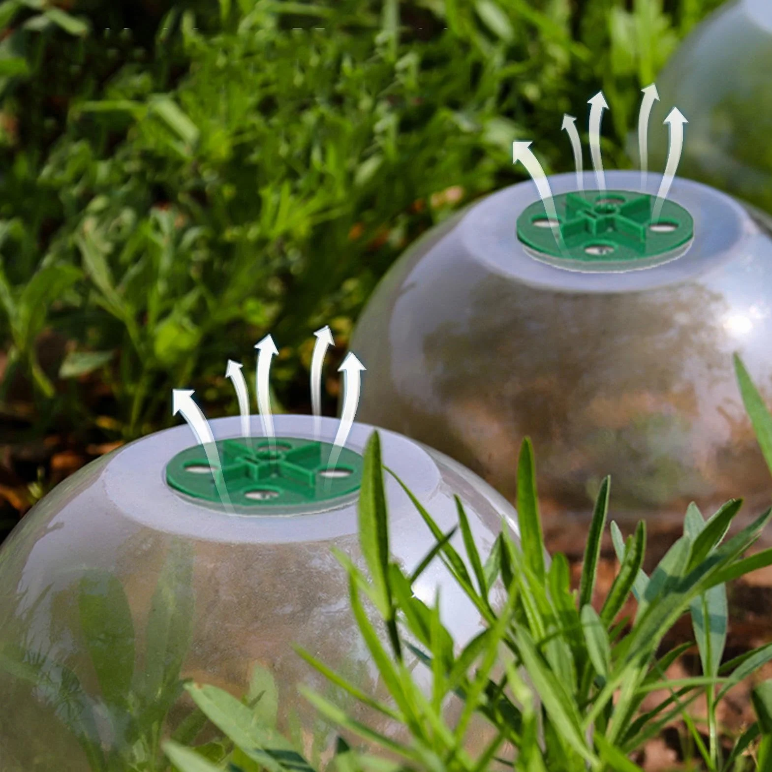 Lot de 10 Cloches de Jardin Transparentes réglables pour protéger contre les escargots et les oiseaux