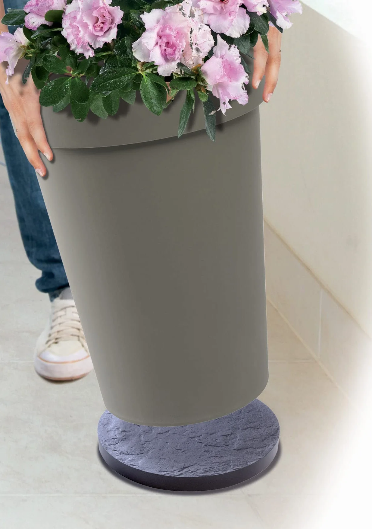 Support à roulettes pour Plantes Ø 40 cm 6 Roues Multidirectionnelles Charge 150 kg Gris Ardoise