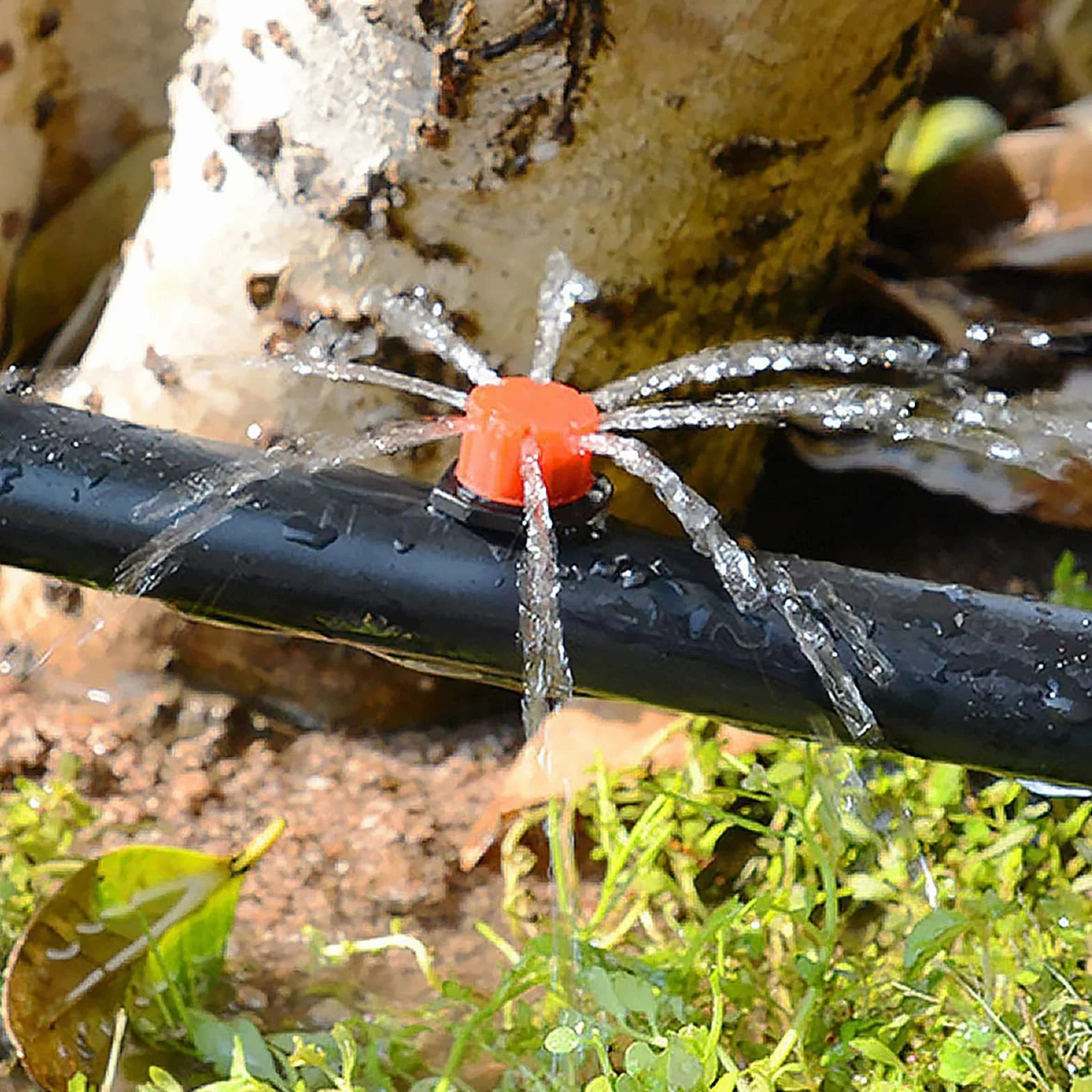 Goutteurs d'Irrigation Réglables 100 Pcs Micro Goutteur en Plastique Huit Trous pour Jardinage