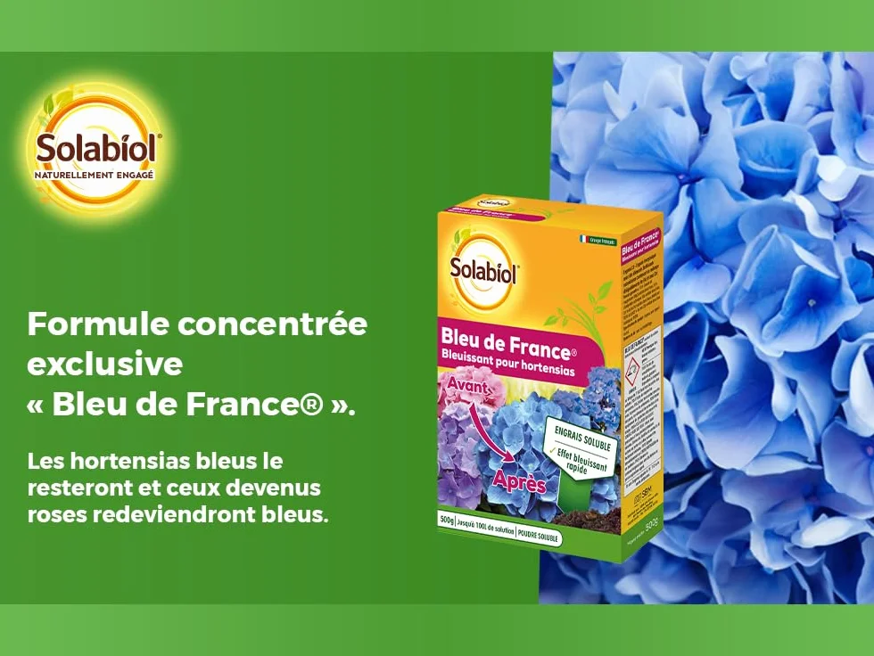 SOLABIOL Engrais Bleu De France 500g Spécial Hortensias Bleu Engrais Soluble Formule Concentrée