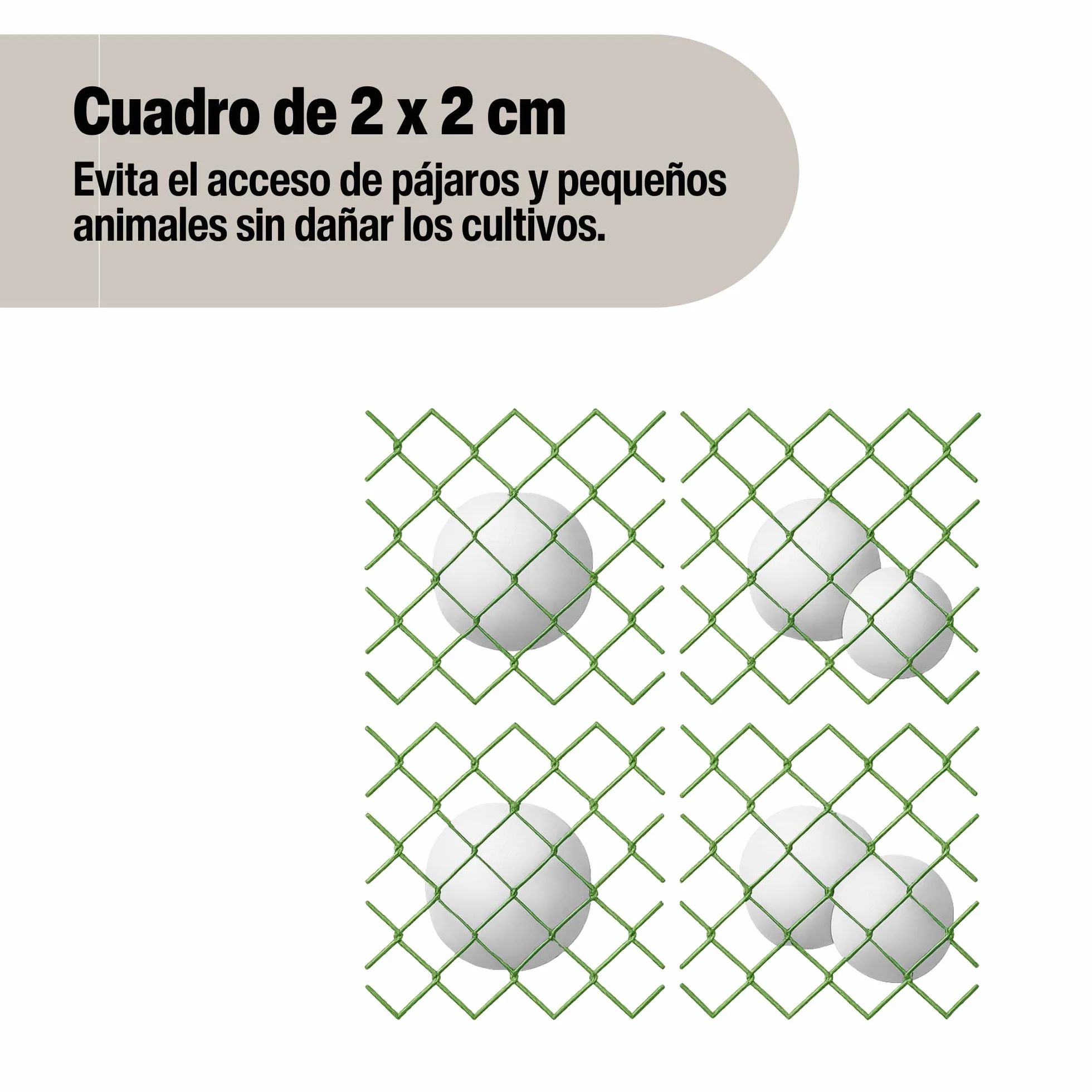 Riegolux 601520 Filet Anti-Oiseaux 4 x 5 m