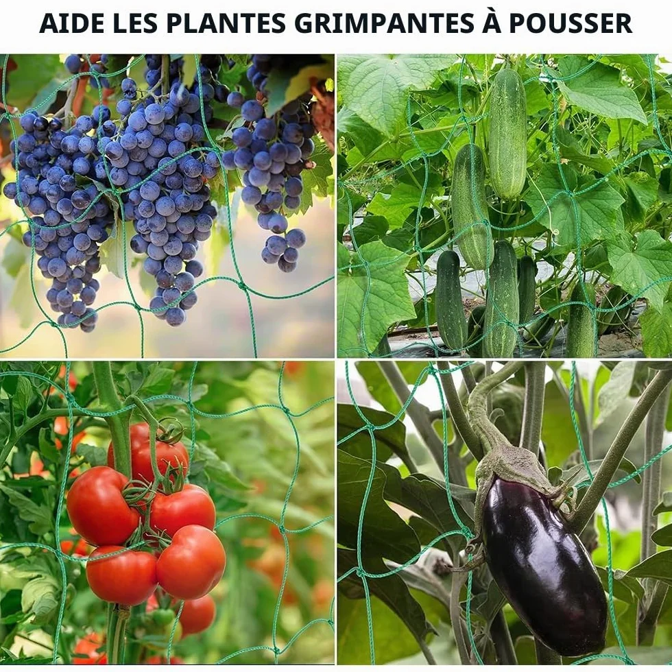 Filet pour Concombre 5 m x 2 m Treillis Jardin Plante Grimpante Exterieur avec Clips et Attaches