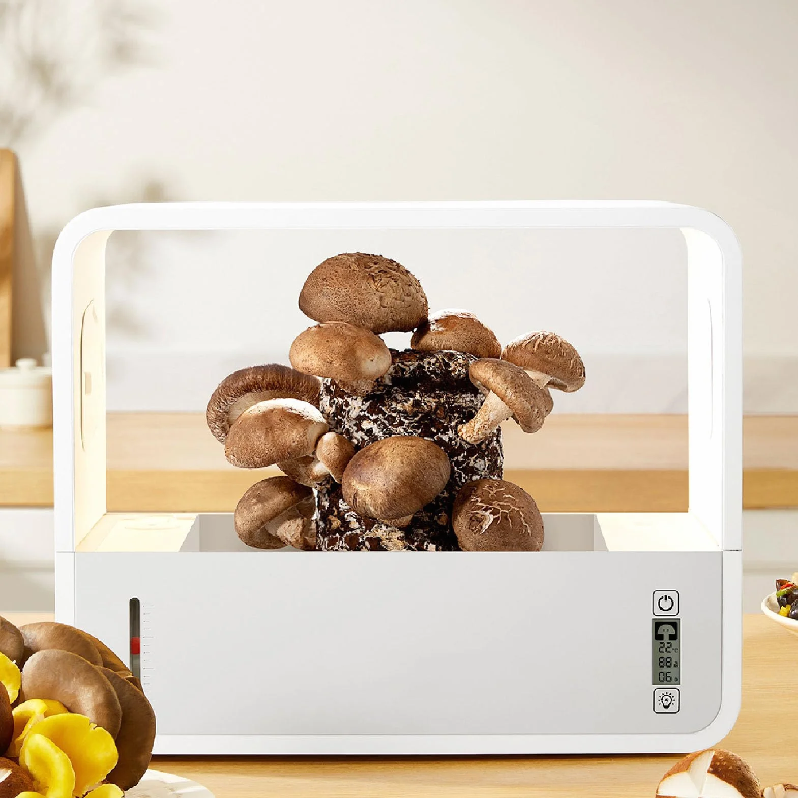 Tente de culture de champignons LED, boîte de culture intelligente sans sol, éclairage automatique