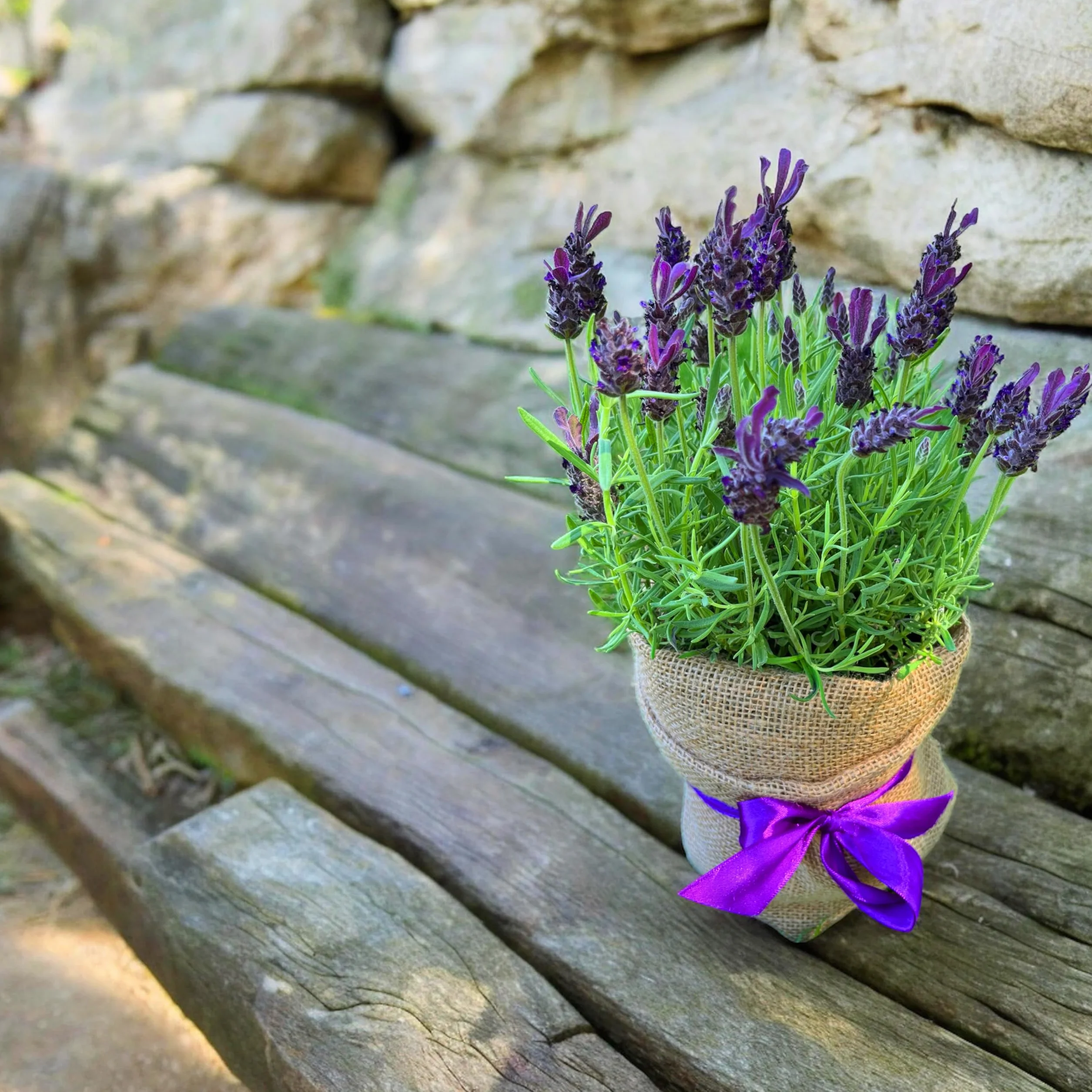 Tissu de jute 160 cm large - Tissu naturel pour plantes - Protection racines - Au mètre