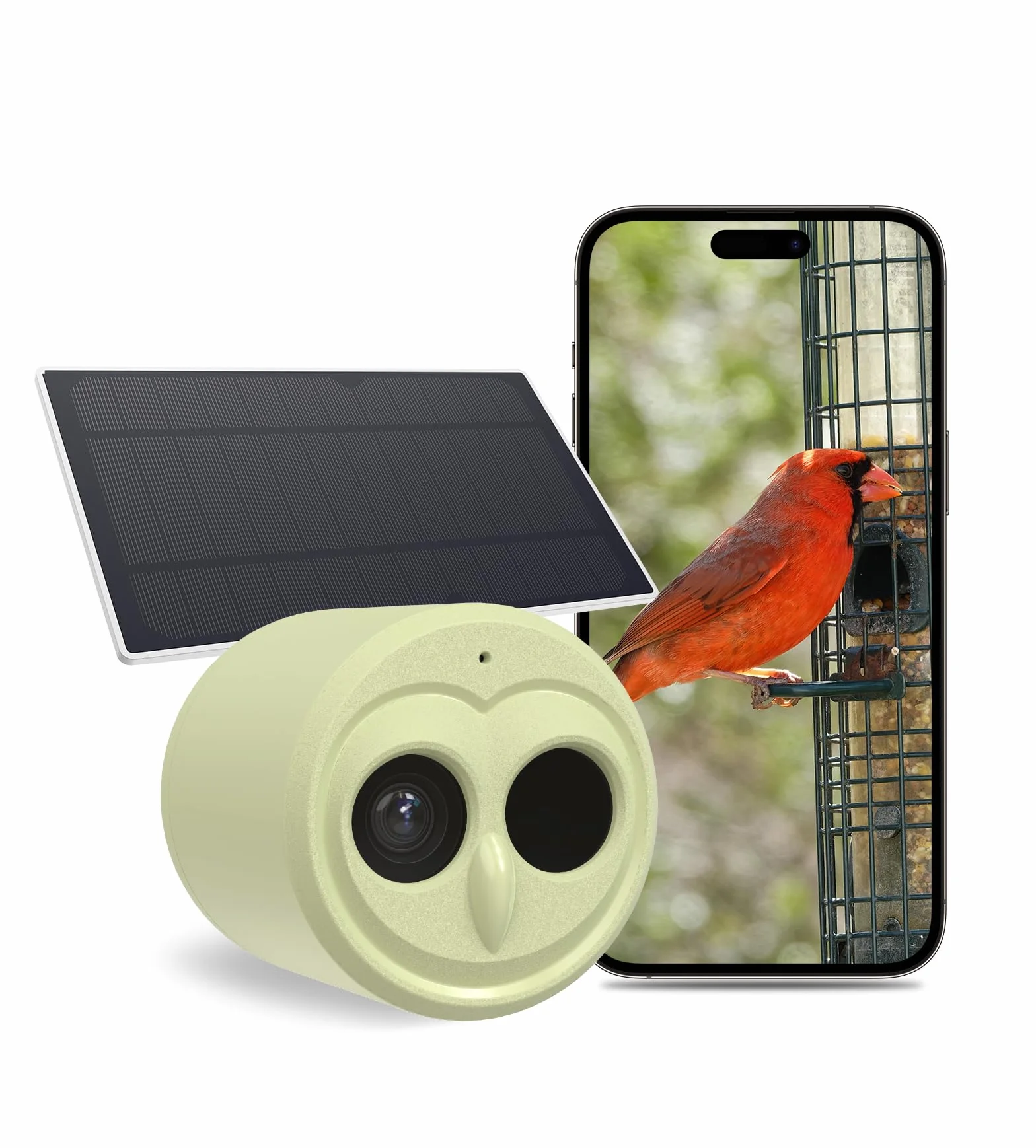 Hibird Caméra d'observation des oiseaux 5G IP66 avec identification IA et panneau solaire