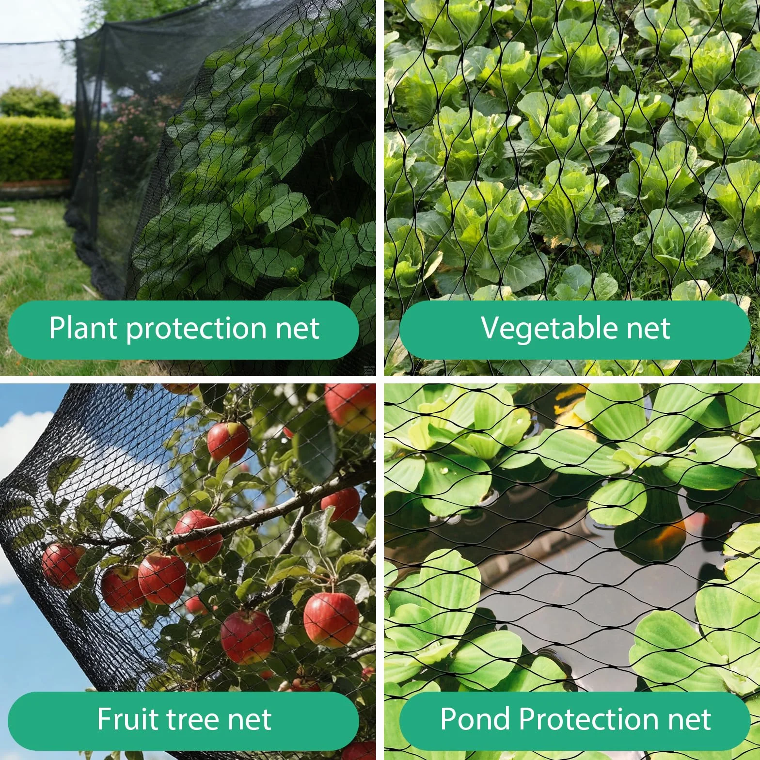 Filet de Protection Anti-Oiseaux 4m x 6m, Filet de Jardin à Mailles Fines, Réutilisable pour Arbres Fruitiers et Légumes